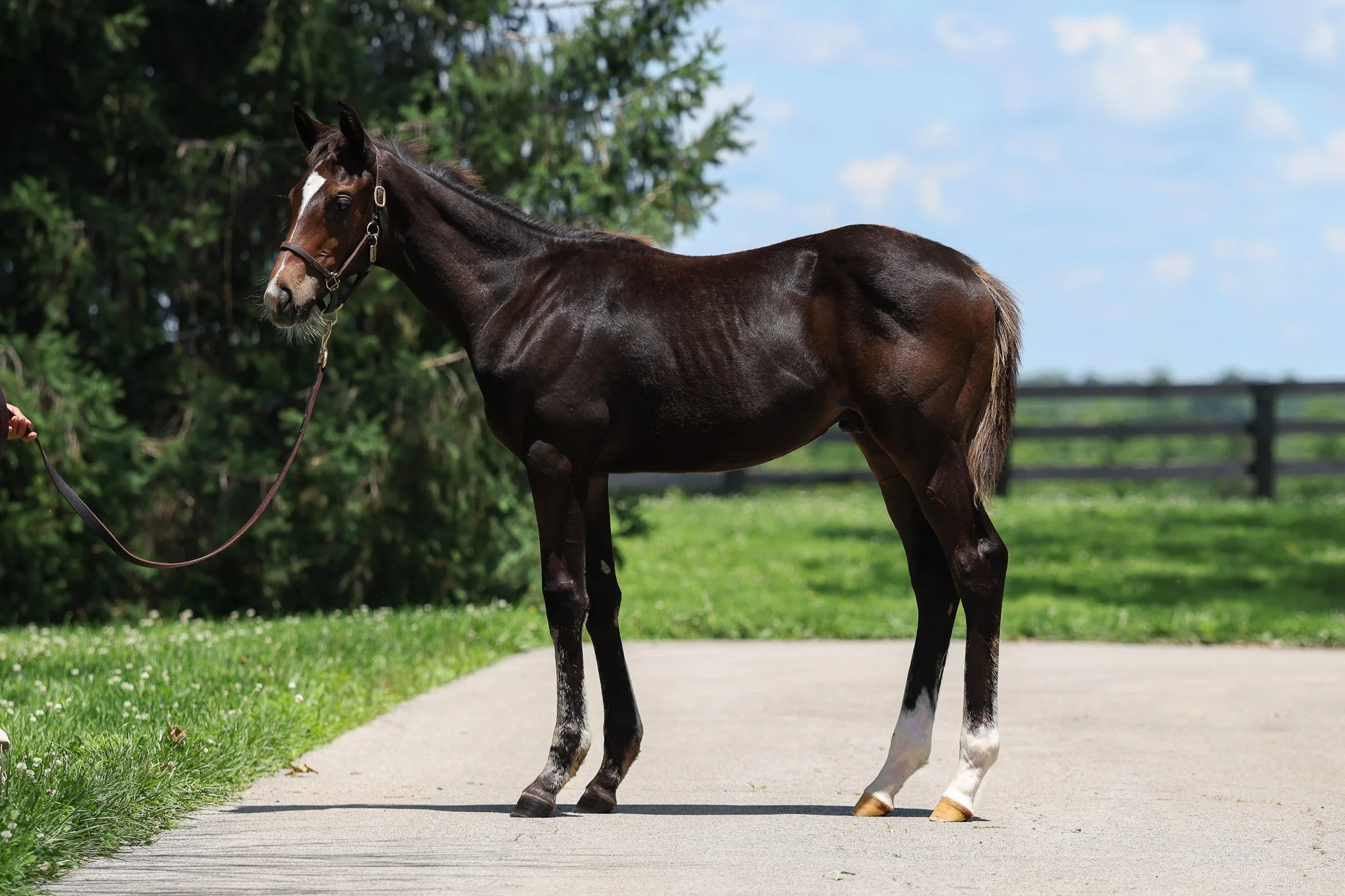 Not This Time / Purely Priceless (IRE)