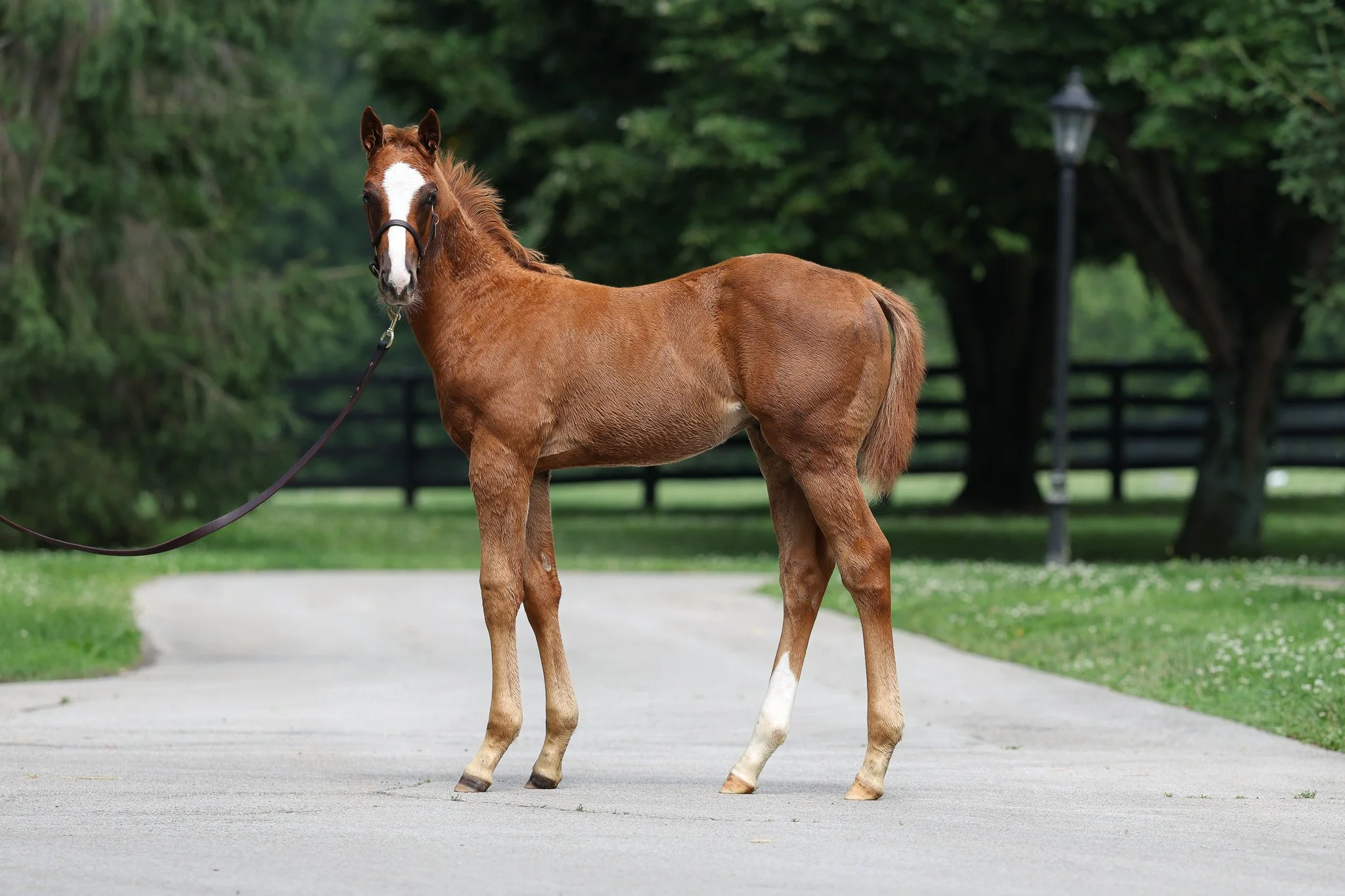 Justify / Touching Beauty