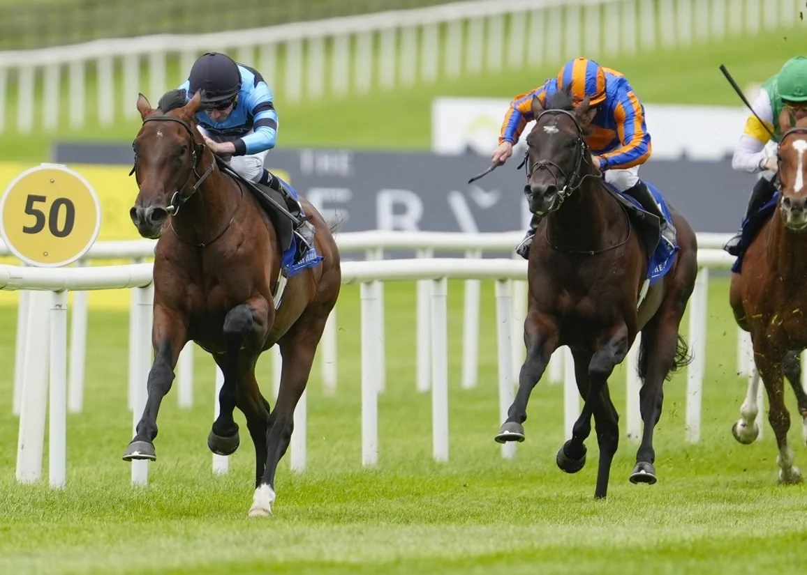 Giant Sequoia Leads Ballydoyle 1-2-3 In The Barronstown