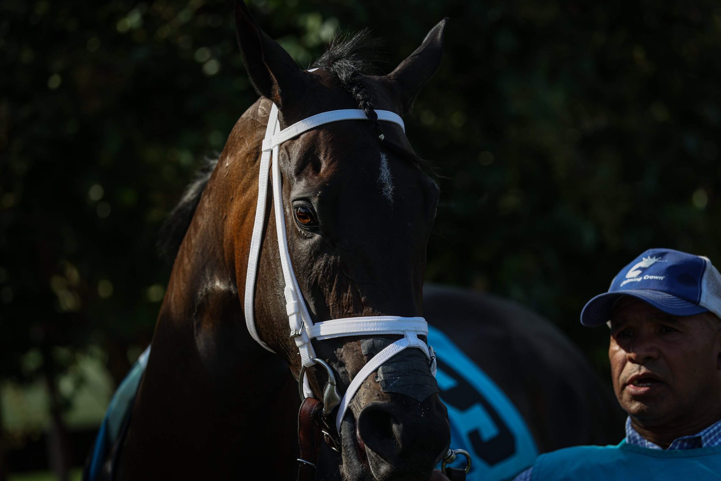 G1 Ladies Turf Sprint