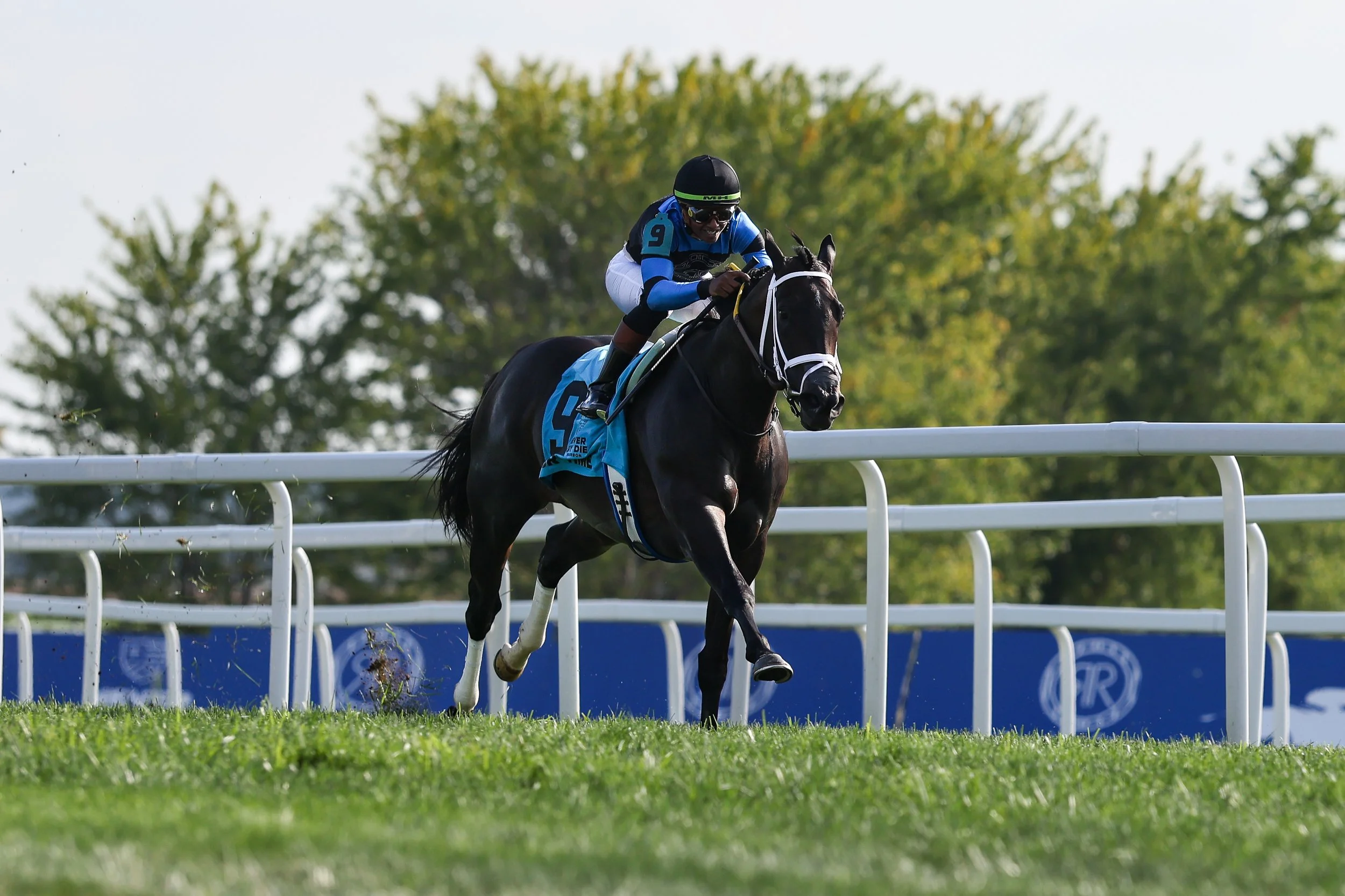 In Our Time Tops Not This Time 1-2 Finish In Ladies' Turf Sprint
