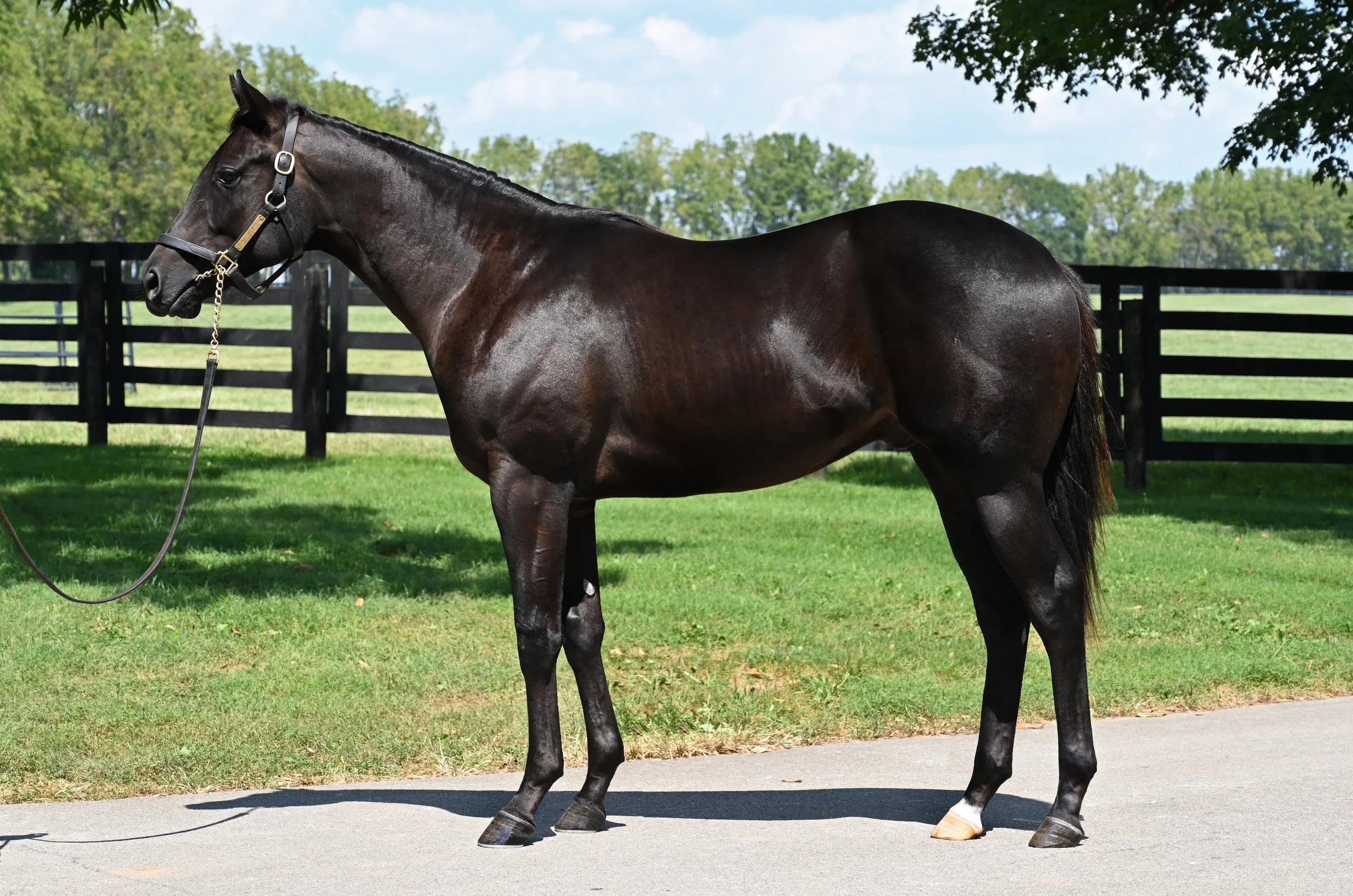 Goodnight Olive 25 KEESEP26 Hip 238.jpg