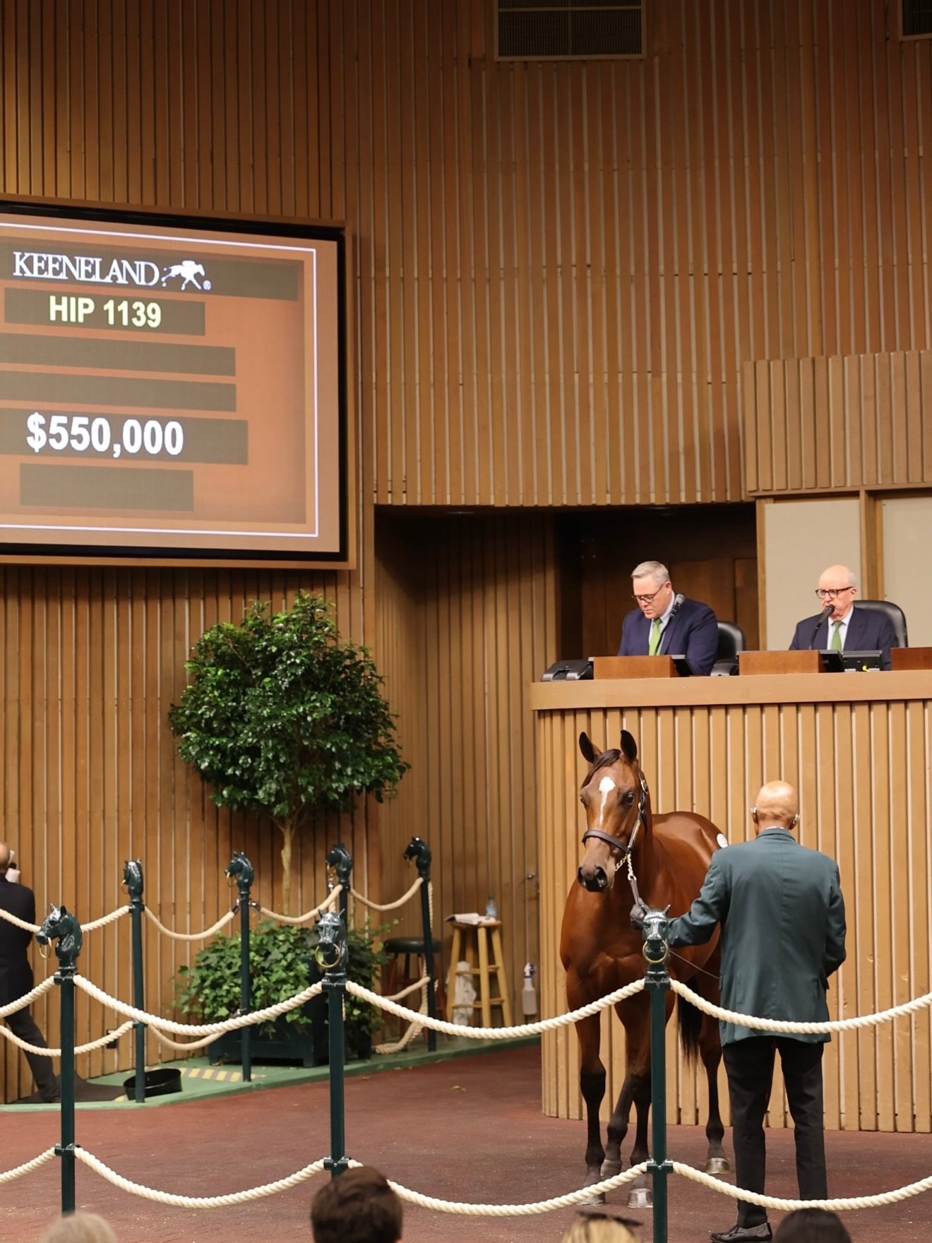 Our colt out of R CALLI KIM by FLIGHTLINE took to the sales ring this morning commanding $550,000 and we are so proud of him and excited for his new connections with @jaysonwerth_ 🔥✈️ 

He has been a looker since he was born! Take a look back at him