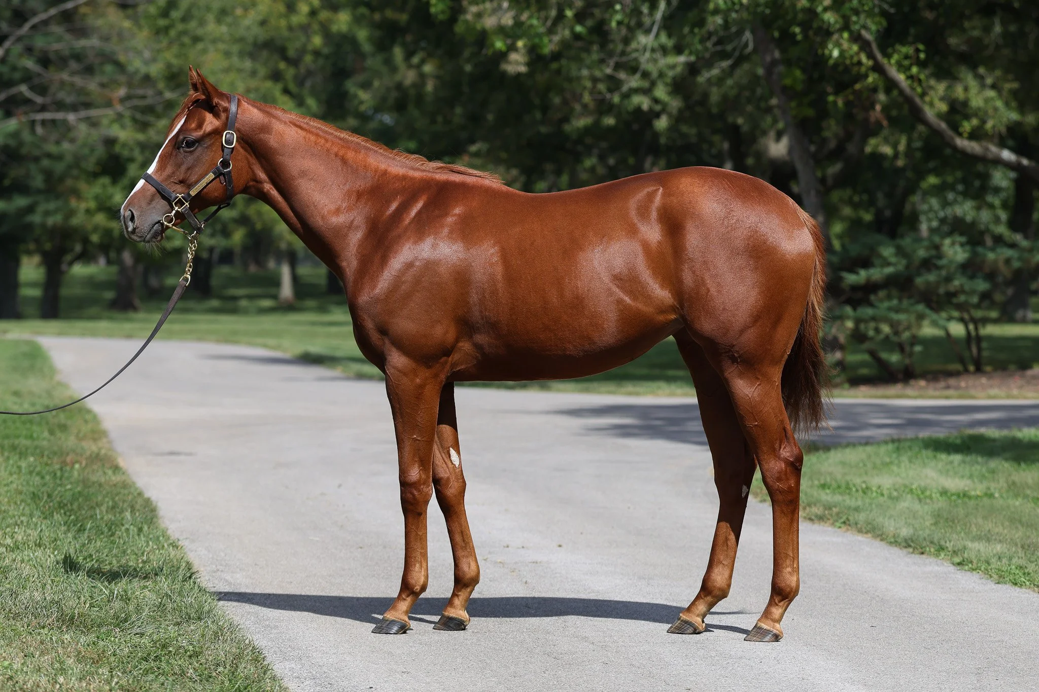 Justify / Touching Beauty