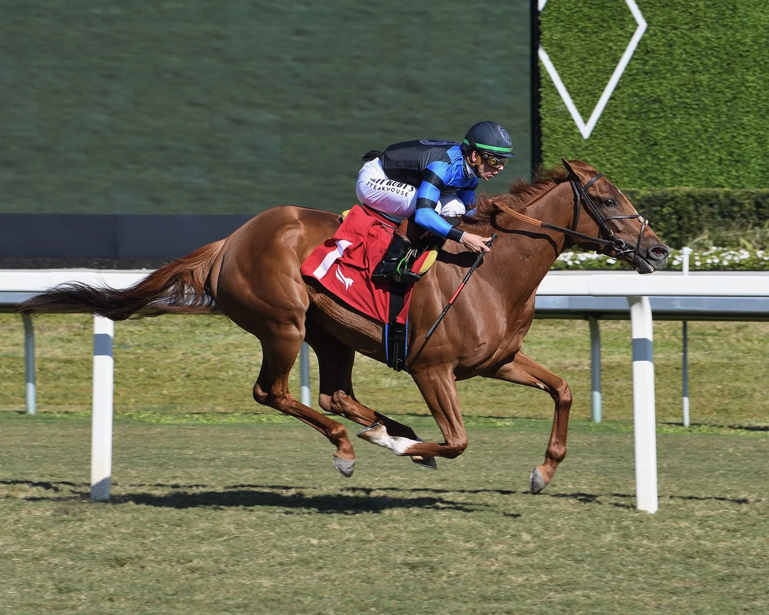 Win photot coglianese.jpeg
