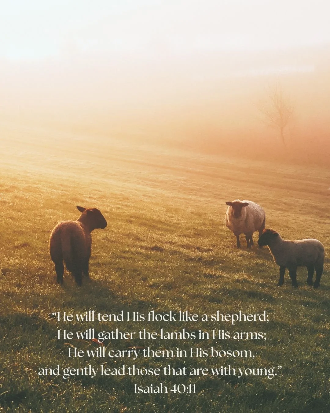 💛 Mama, you are seen. You are shepherding hearts, and the Good Shepherd is gently leading you every step.

#BiblicalMotherhood #Isaiah4011 #EncouragementForMoms #ChristianParenting #FaithOverFear #SummitPaideiaAcademy #YouAreNotAlone