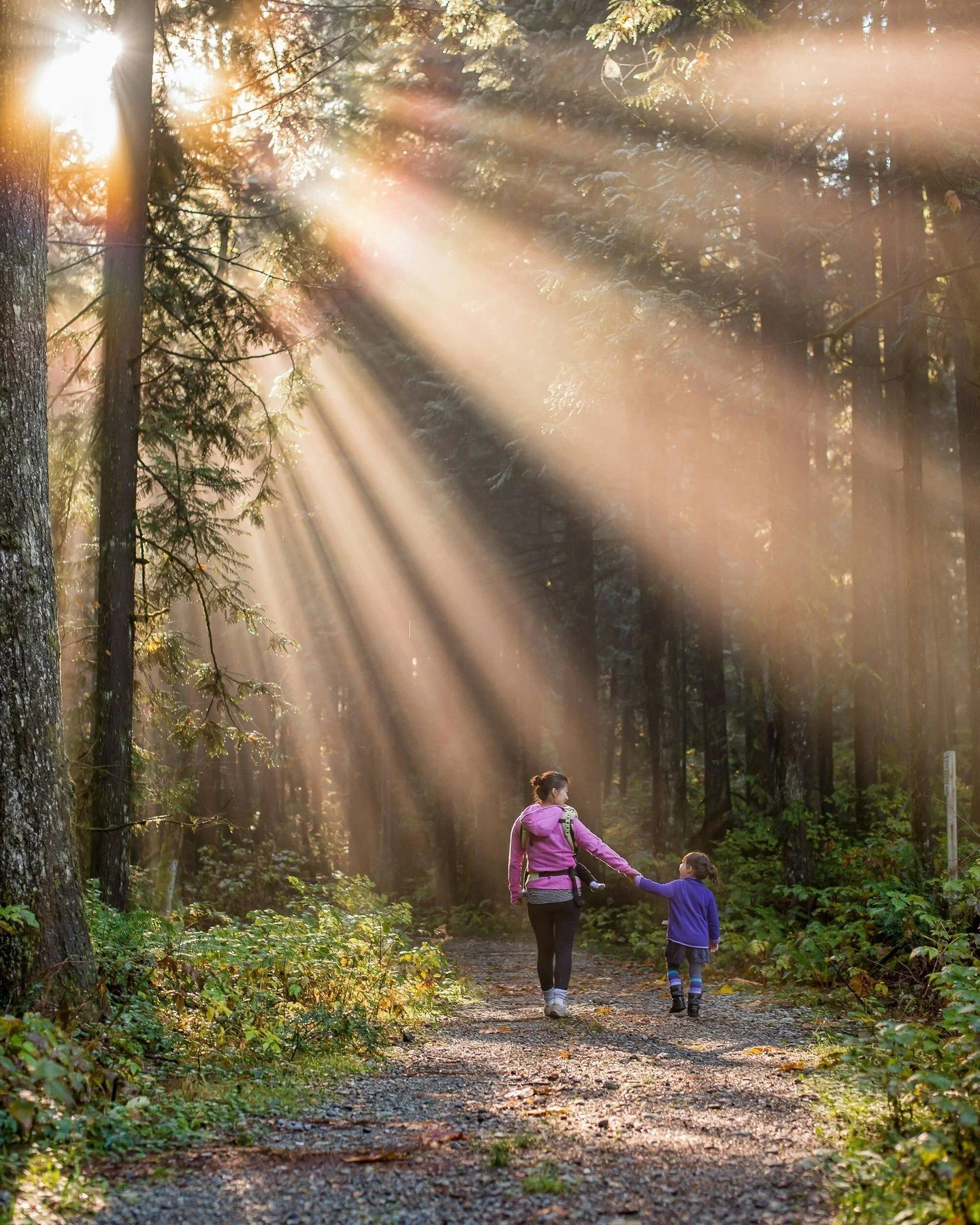 Parents aren&rsquo;t just involved here&mdash;they&rsquo;re essential.

At Summit Paideia Academy, we believe something countercultural:  Parents are the primary educators of their children.

We don&rsquo;t replace that role&mdash; we support it, str