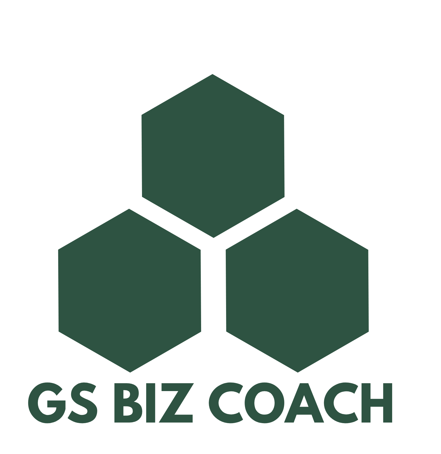 GS Biz Coach