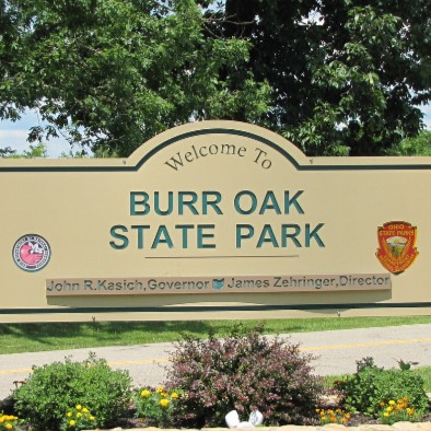 Burr+Oak+SP.png