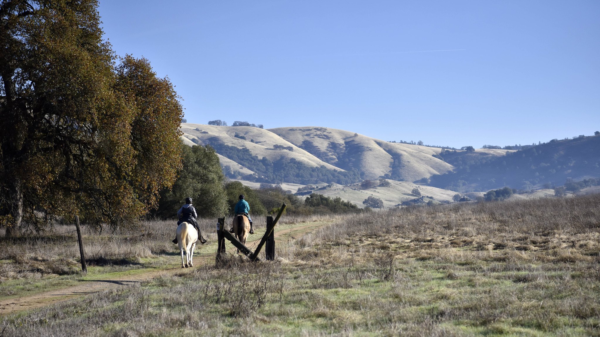Photo by John Ciccarelli, BLM