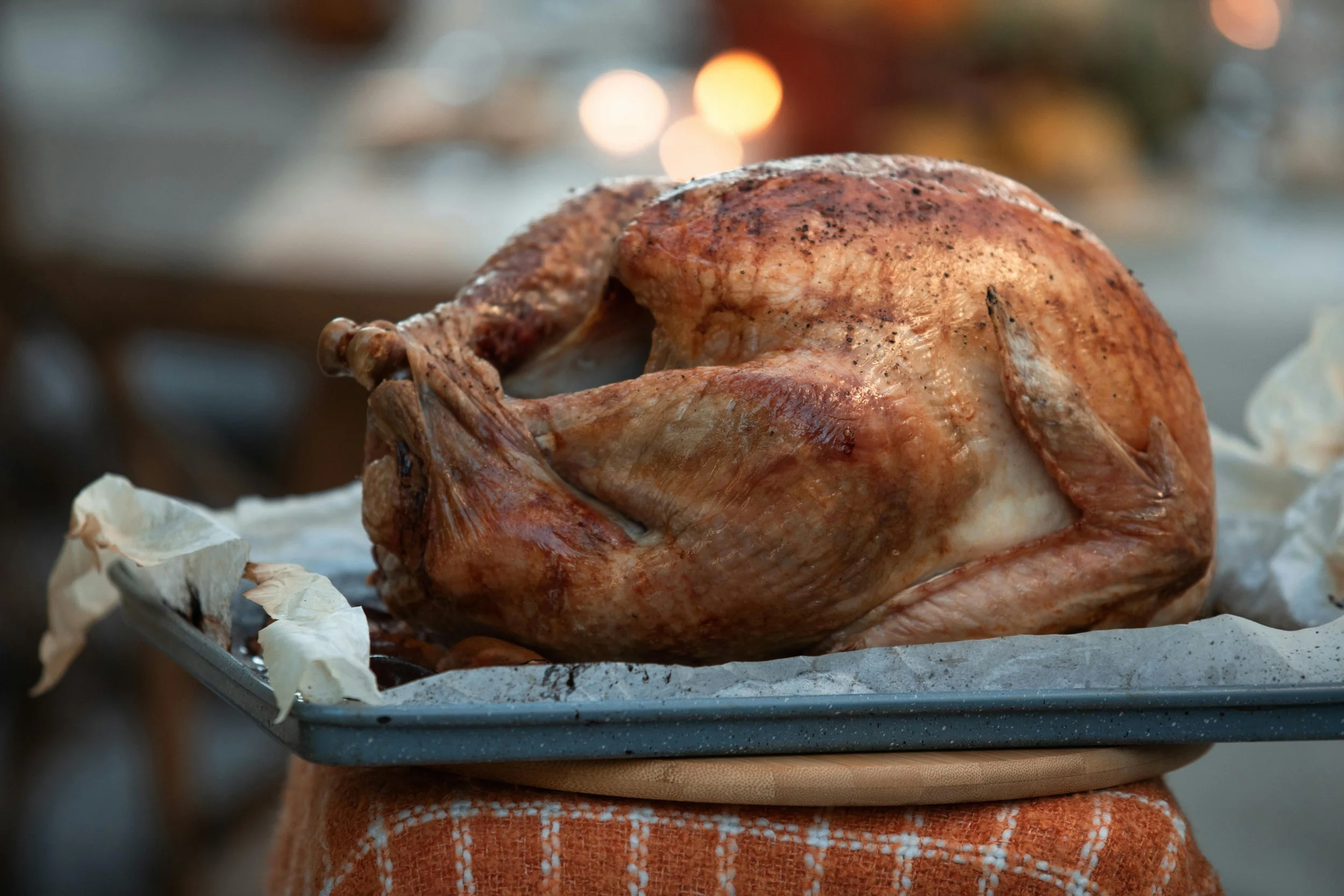 What does Thanksgiving have to do with Torah?</span>
