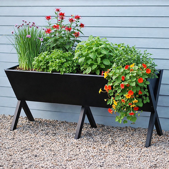 Spring Gardening Plans for a High-Desert Homestead