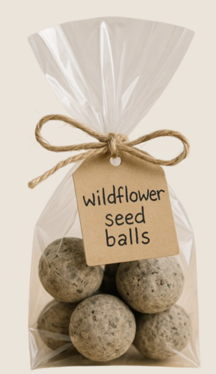 Seed Bombs: A Simple Spring Project While We Wait for the Thaw