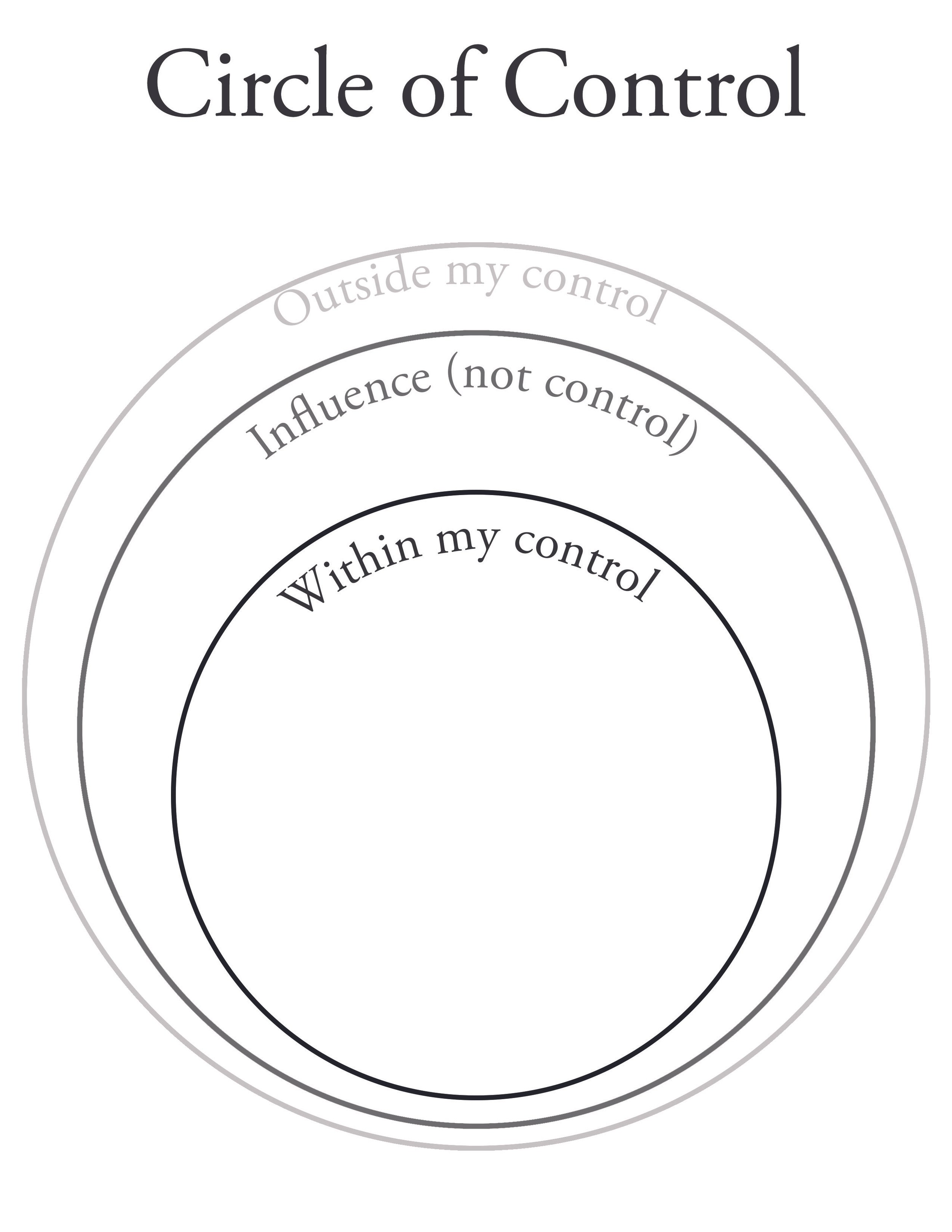 An example of a Circle of Control planning sheet
