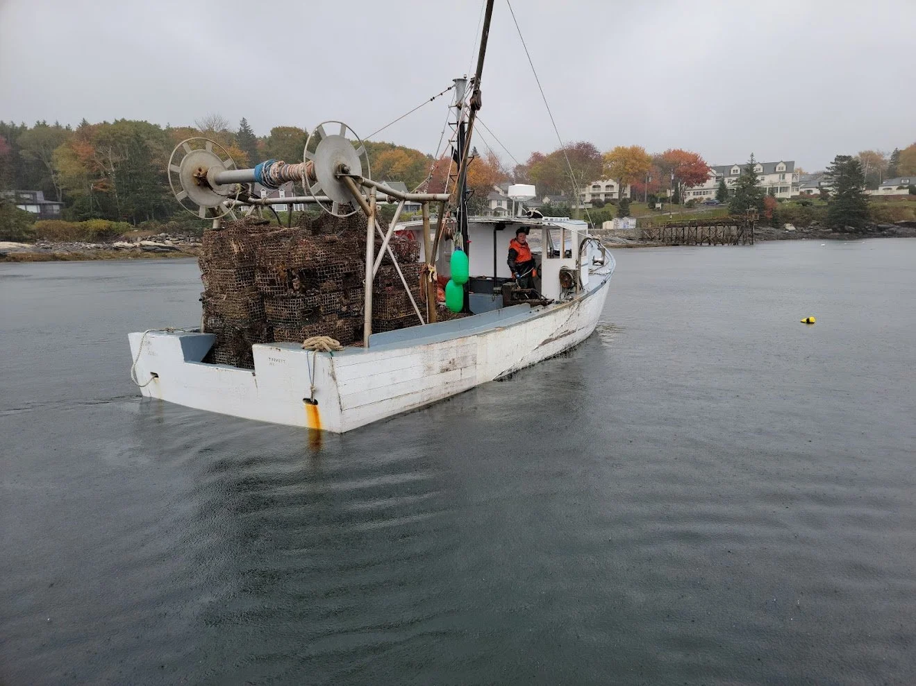 Credit: Gulf of Maine Lobster Foundation