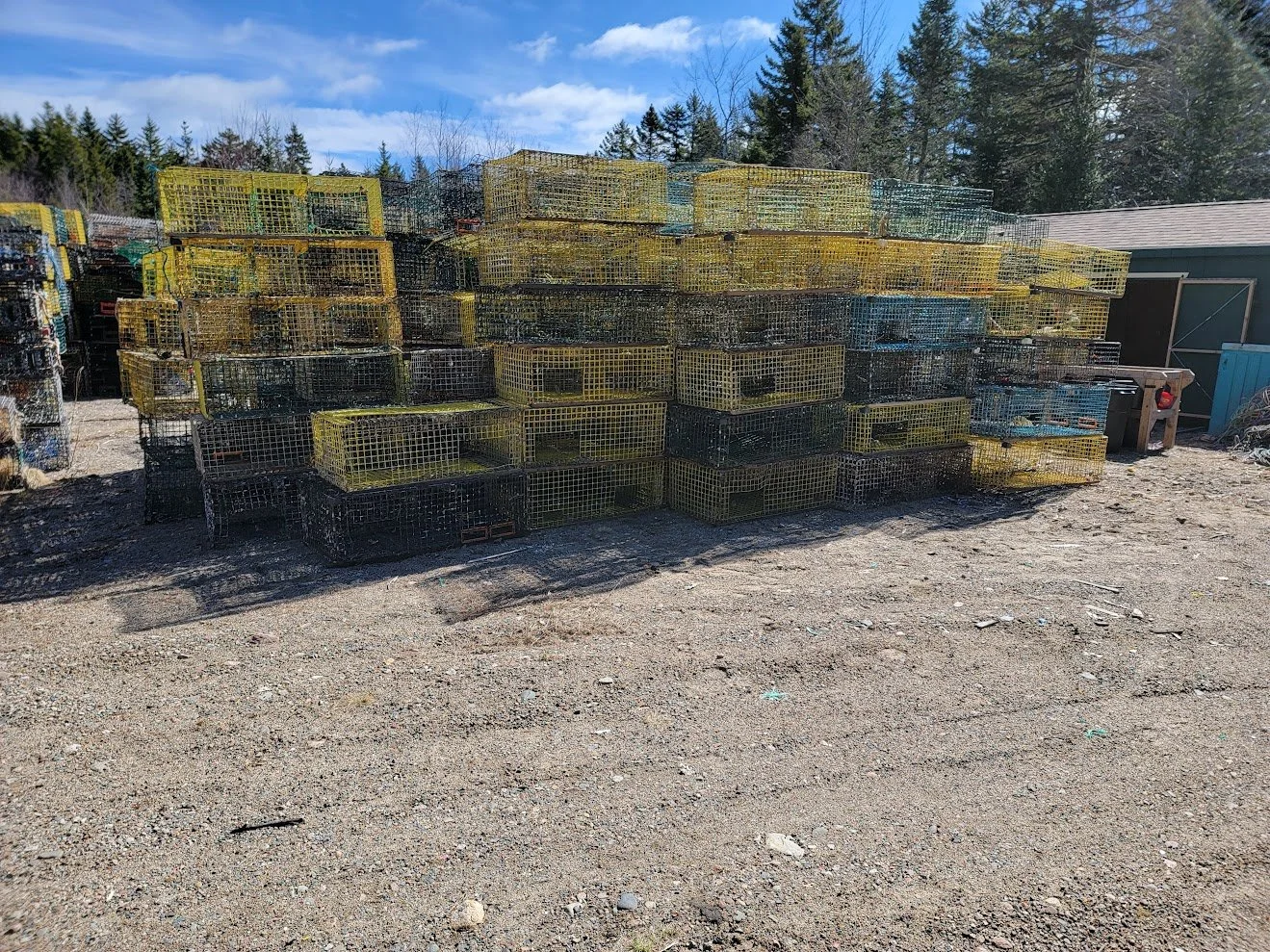 Fully stripped end of life traps ready for OW to crush before recycling.