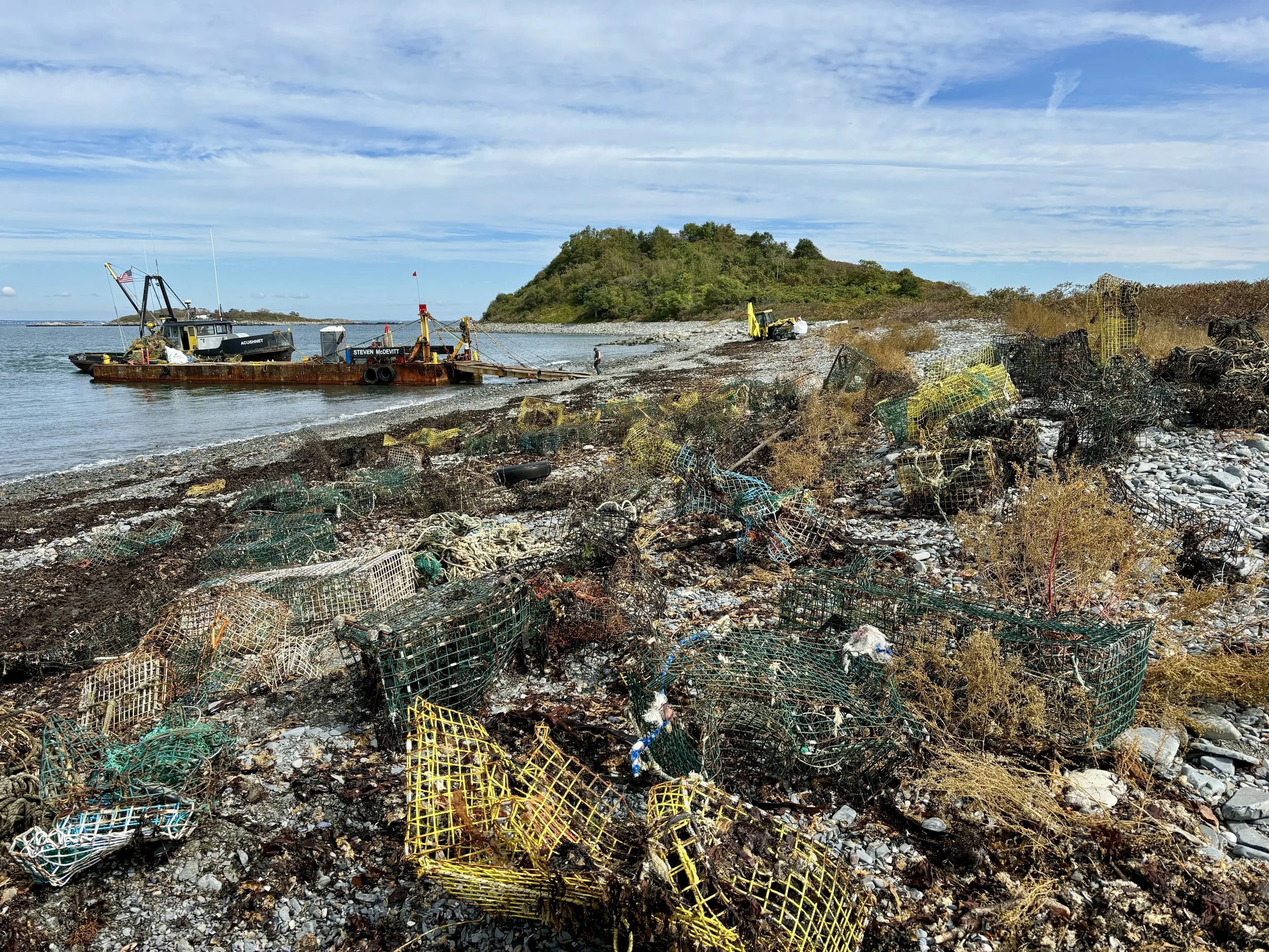 Large swath of traps ready for pickup on Great Brewster Island in Boston Harbor collected by CCS volunteers.
