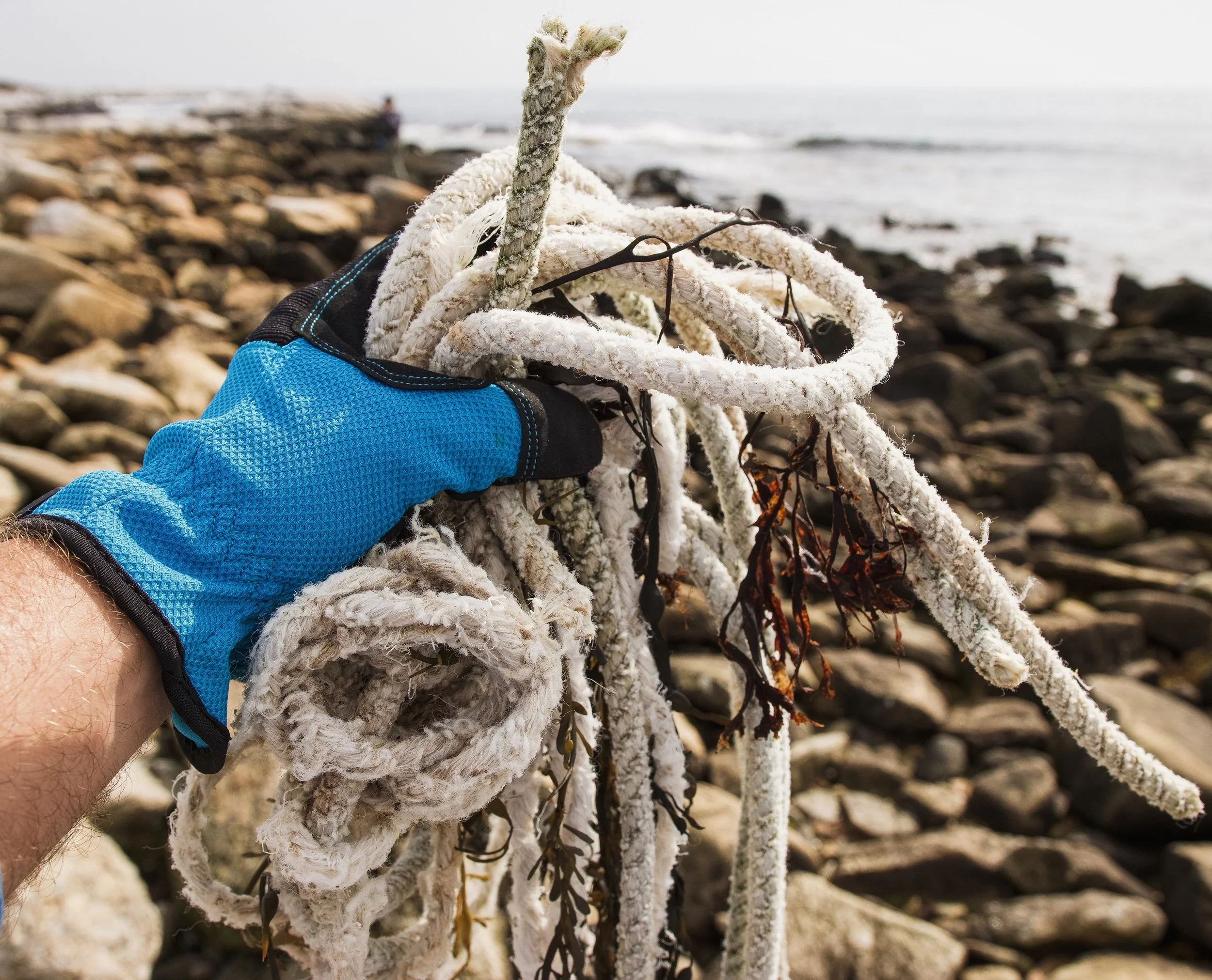 Fishing line found on a shore cleanup by Blue Ocean Society