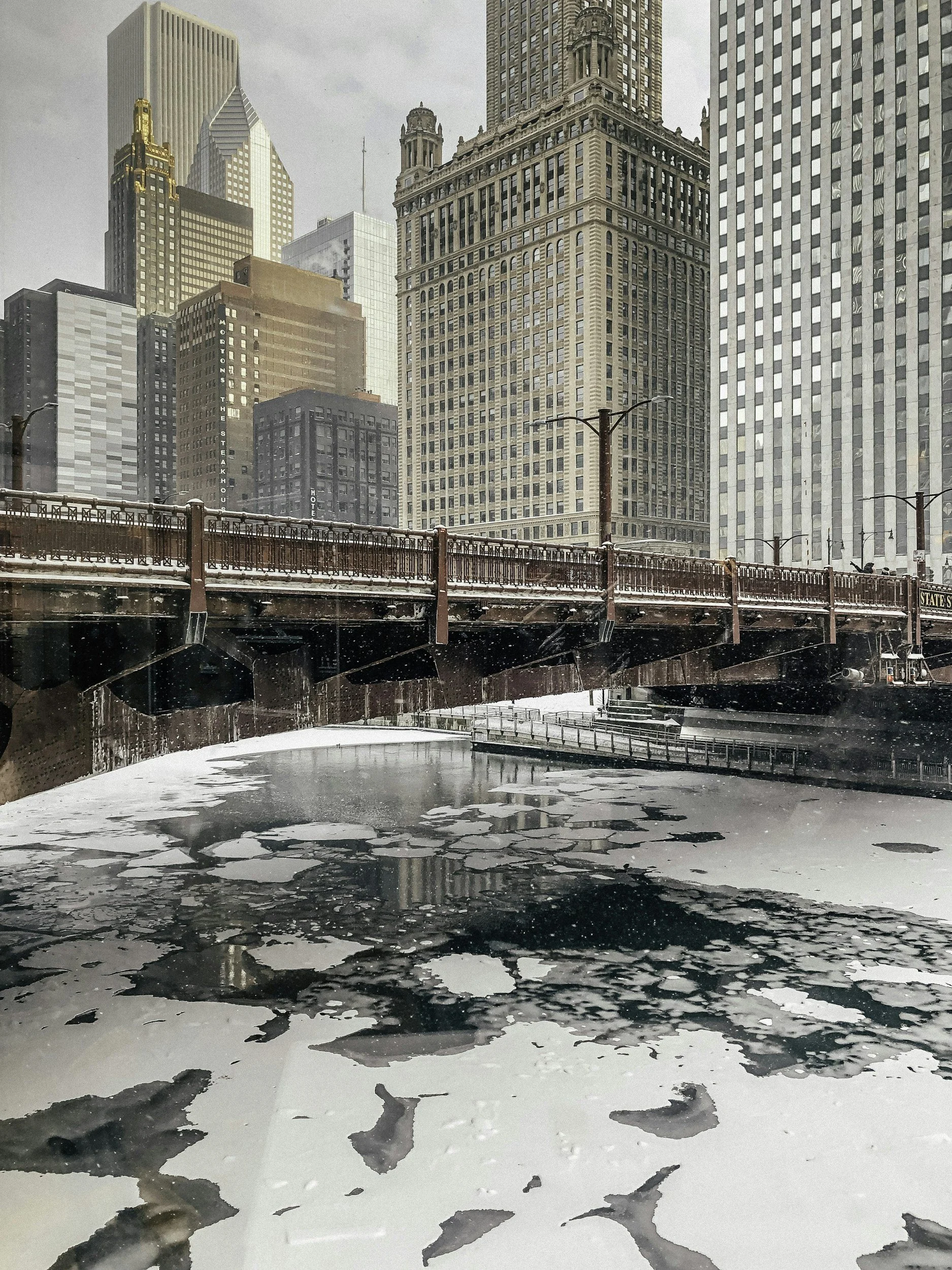 Professional Advisor Appendix (CPA/Lawyer)