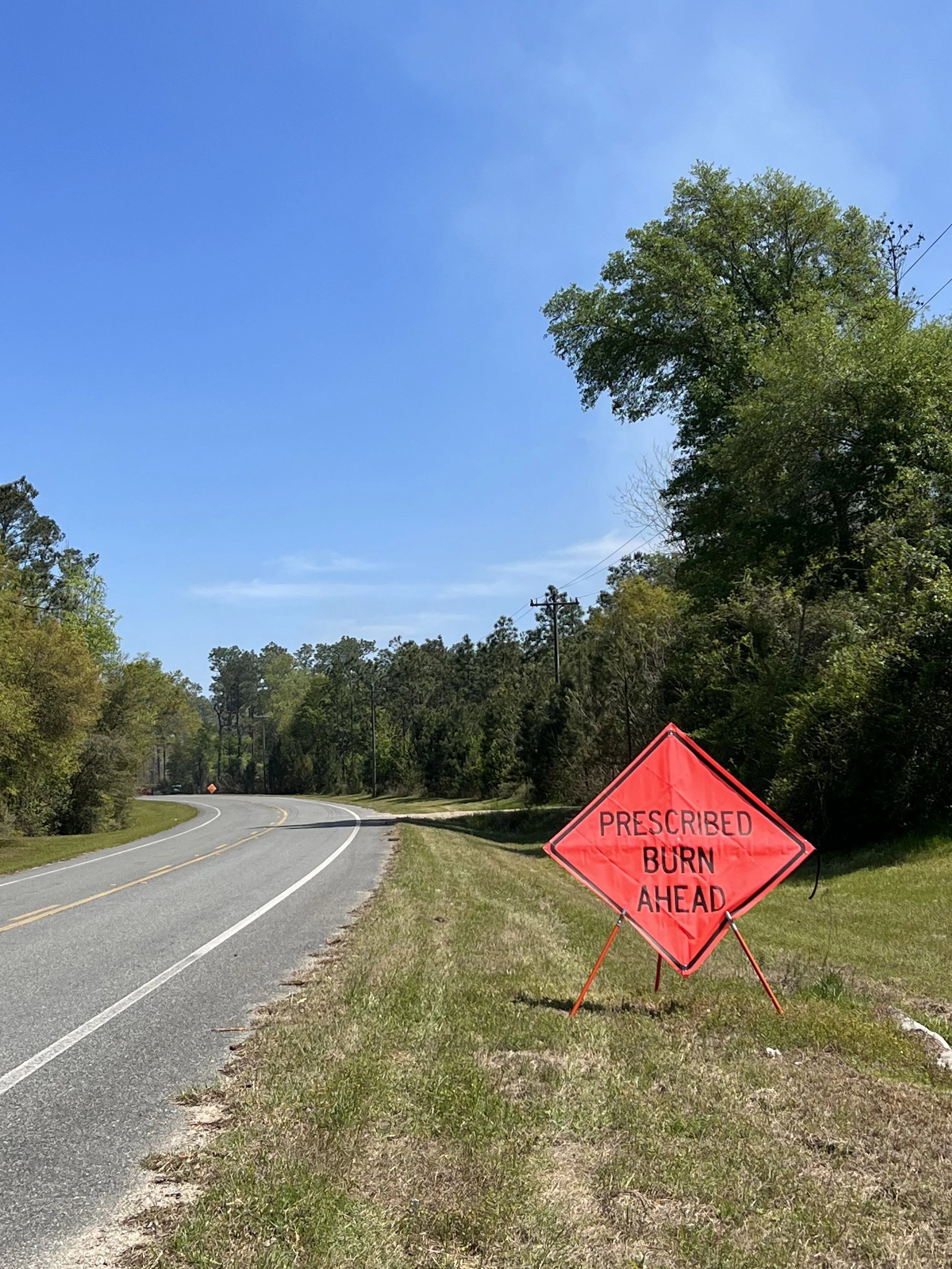 A road with a bright orange sign reading 'PRESCRIBED BURN AHEAD' on the grassy shoulder to alert drivers.