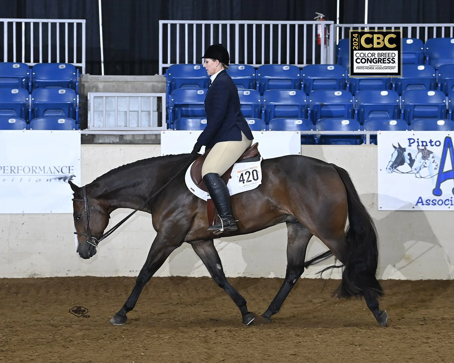 A woman dressed in equestrian attire riding a brown horse inside an indoor arena during a competition, with blue seats and banners in the background.