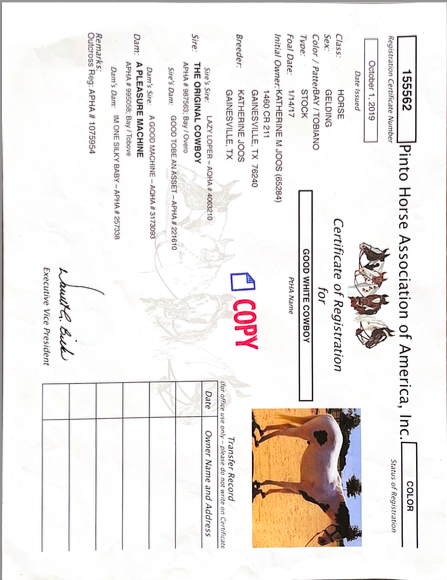 Good White Cowboy Pinto Papers