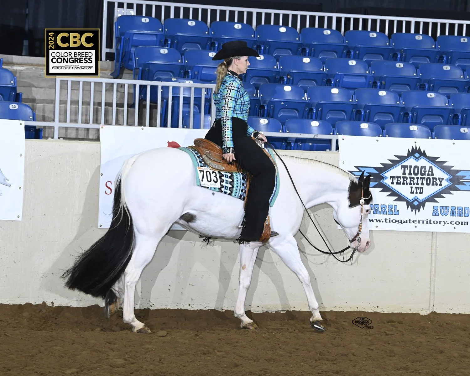 Equestrian rider in blue attire on a white horse during the 2024 Color Breed Congress at an indoor arena.
