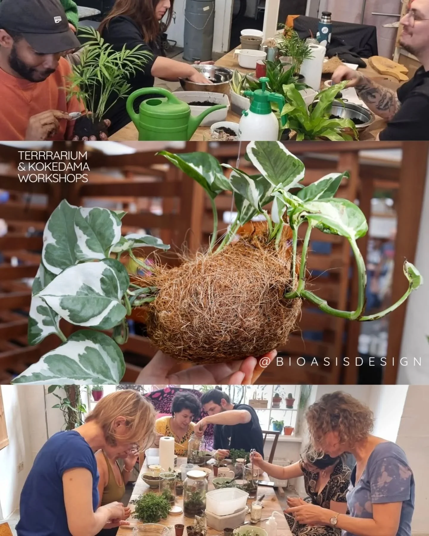 🌿✨ We invite you to create with your own hands! ✨🌿
This weekend we&rsquo;ll be hosting creative workshops where you&rsquo;ll learn:

🌱 Terrarium &ndash; little ecosystems in glass. More info or link in Bio 👉 https://forms.gle/bMvC5XEyQDsfqYZe6
🌱