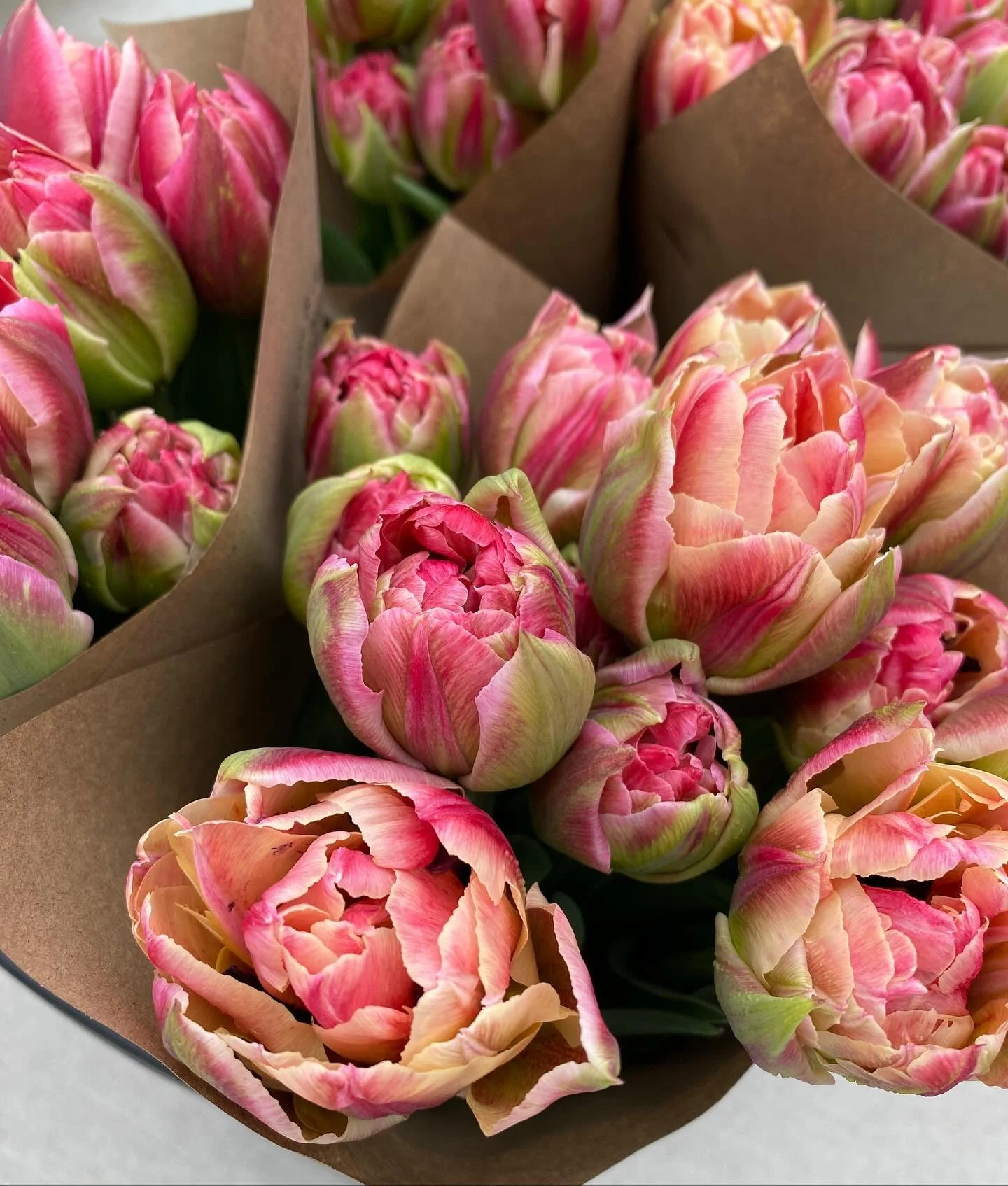 All of the tulips for next spring are officially planted! 

Spring 2026 is going to be beautiful 🌷