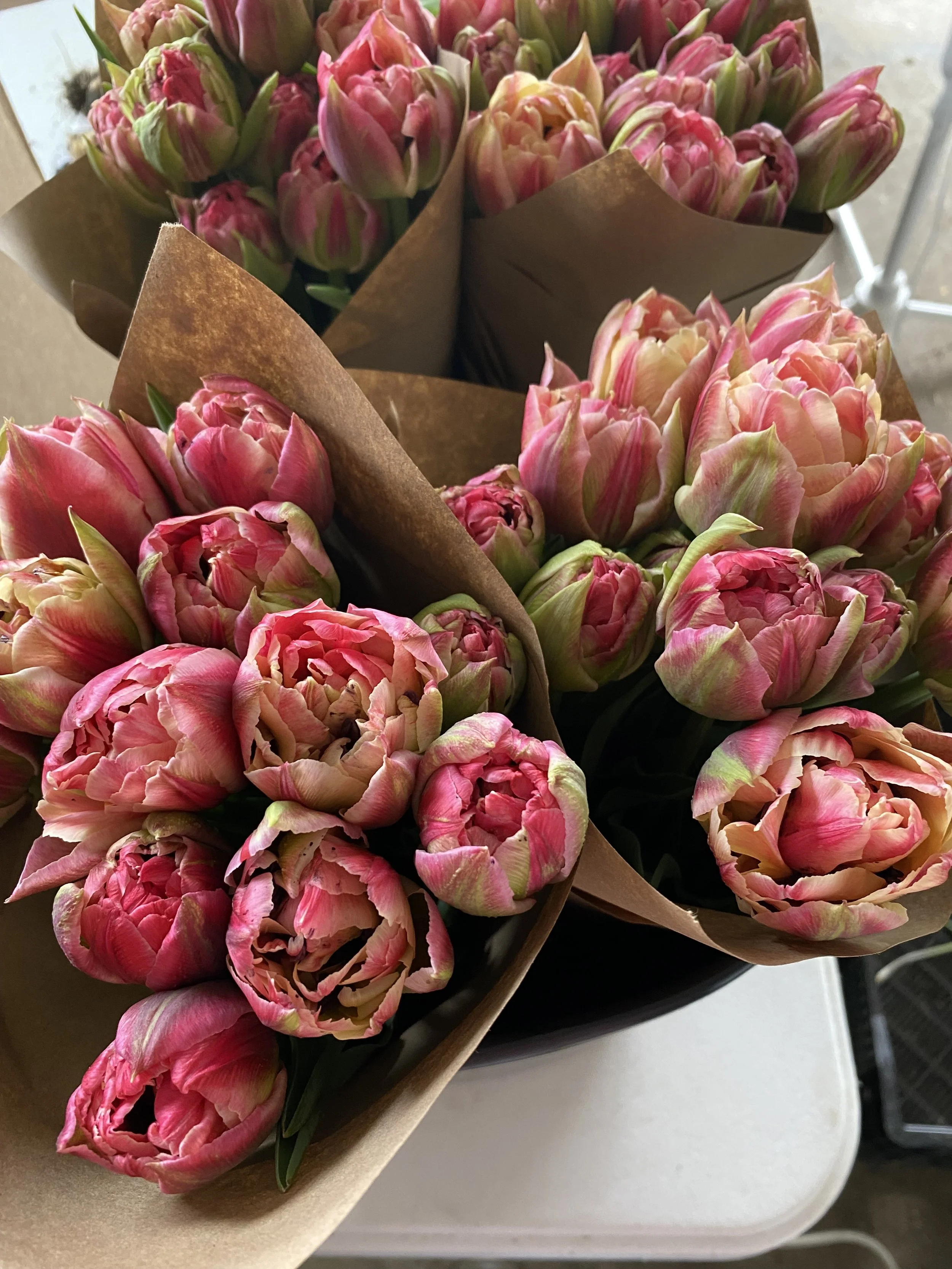 Tulip Subscription Bouquet 