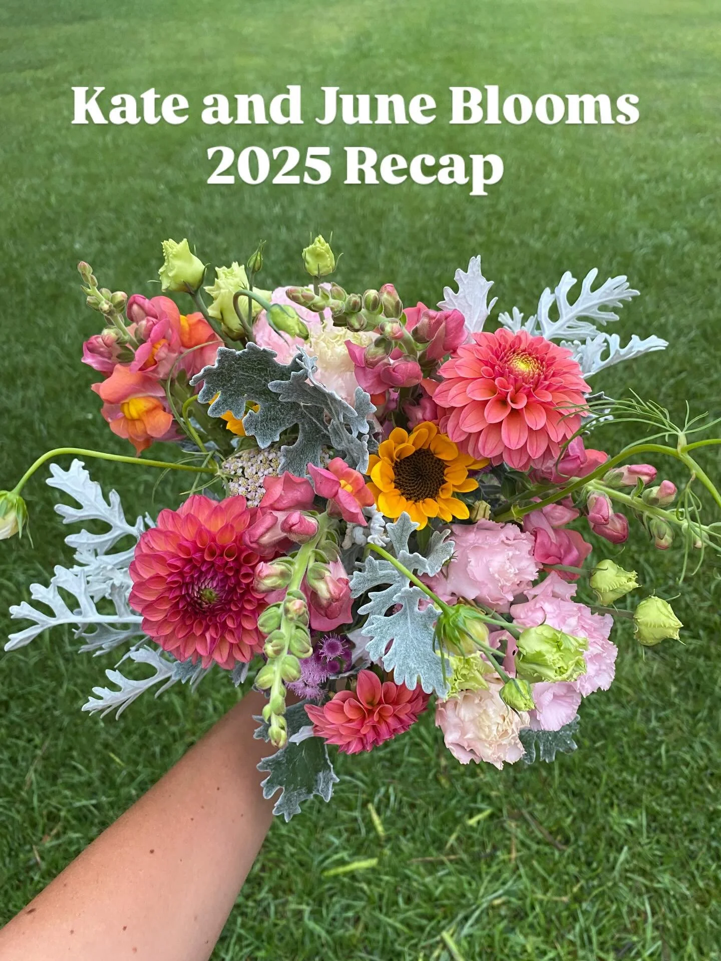 If you fit us into your budget, referred someone to us, or just went out of your way to support us, thank you!

More beautiful flowers coming in 2026 💐
-Sierra