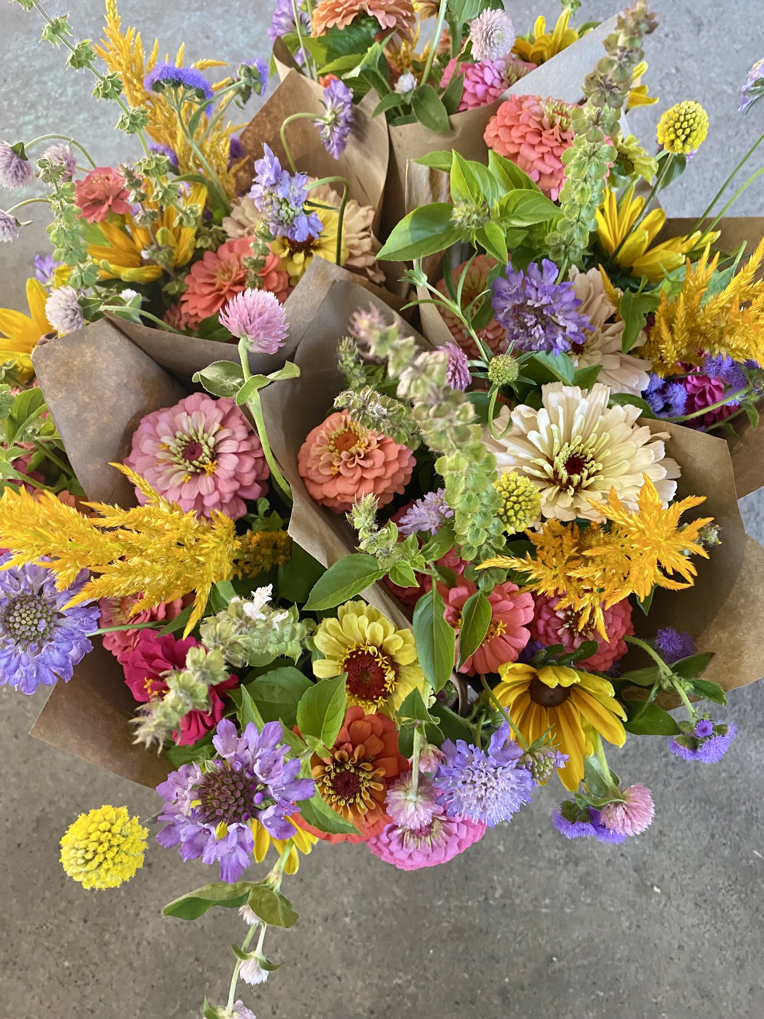 The Journey of a Michigan Grown Flower 