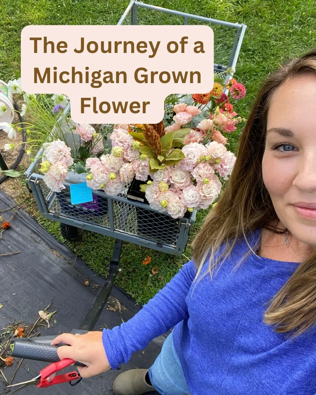 The journey of a Michigan grown flower.

It starts long before they are made into bouquets for the flower stand, flowers for your special day, and designed with by local florists. 

We&rsquo;re connected to the flowers more than you may think. We res