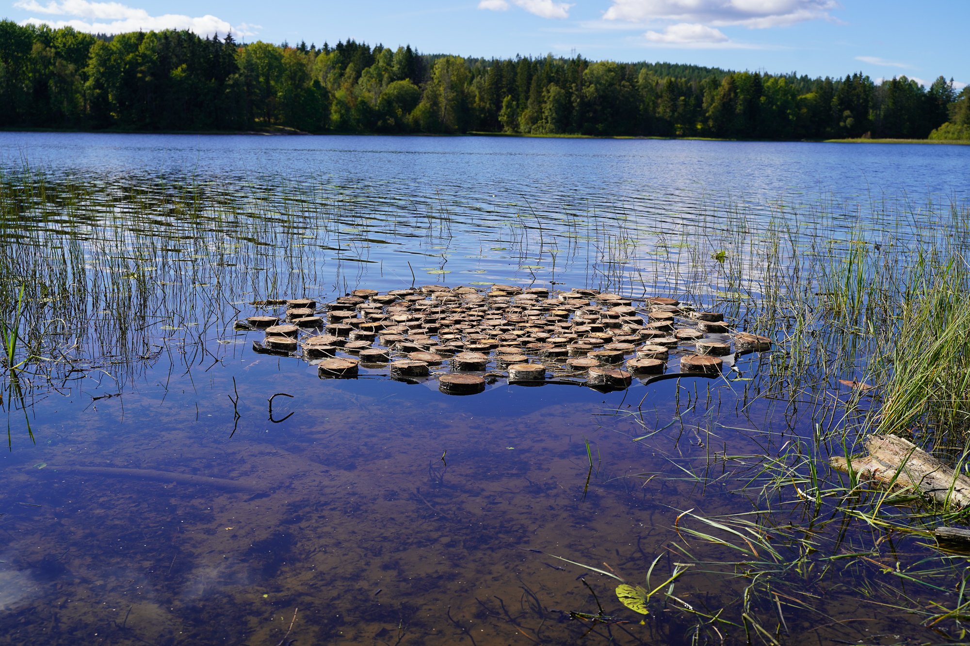 BILDER FRA FESTIVALEN I 2024