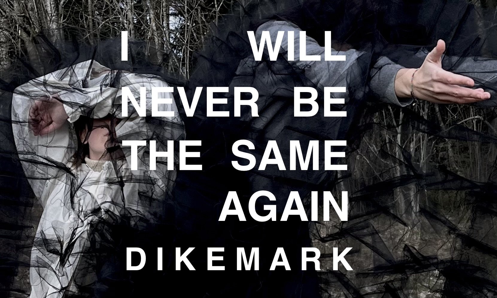 lilire_iwnbtsa_cover dikemark.jpeg