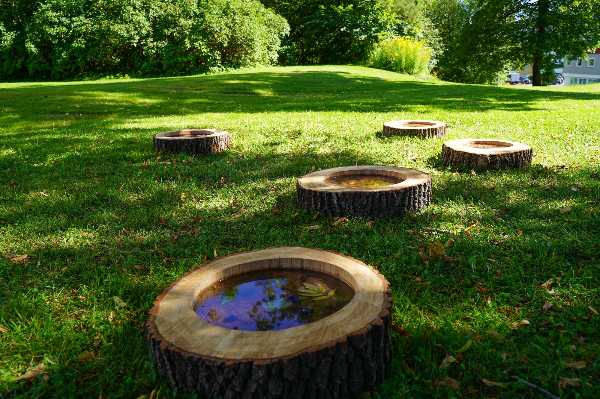 LandArt 24 web v2-01481.jpg