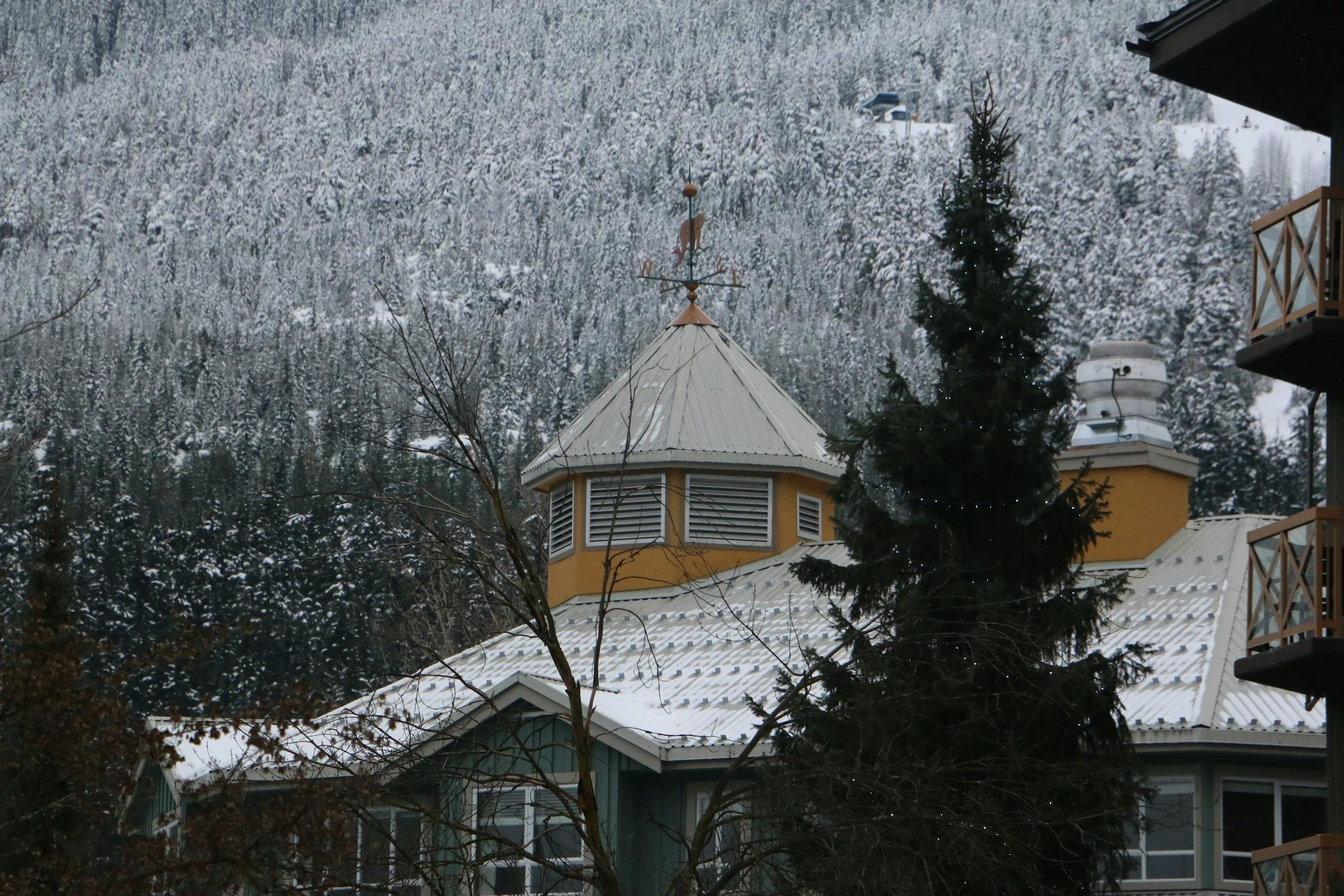 Whistler building by a forest of snowy trees in Winter