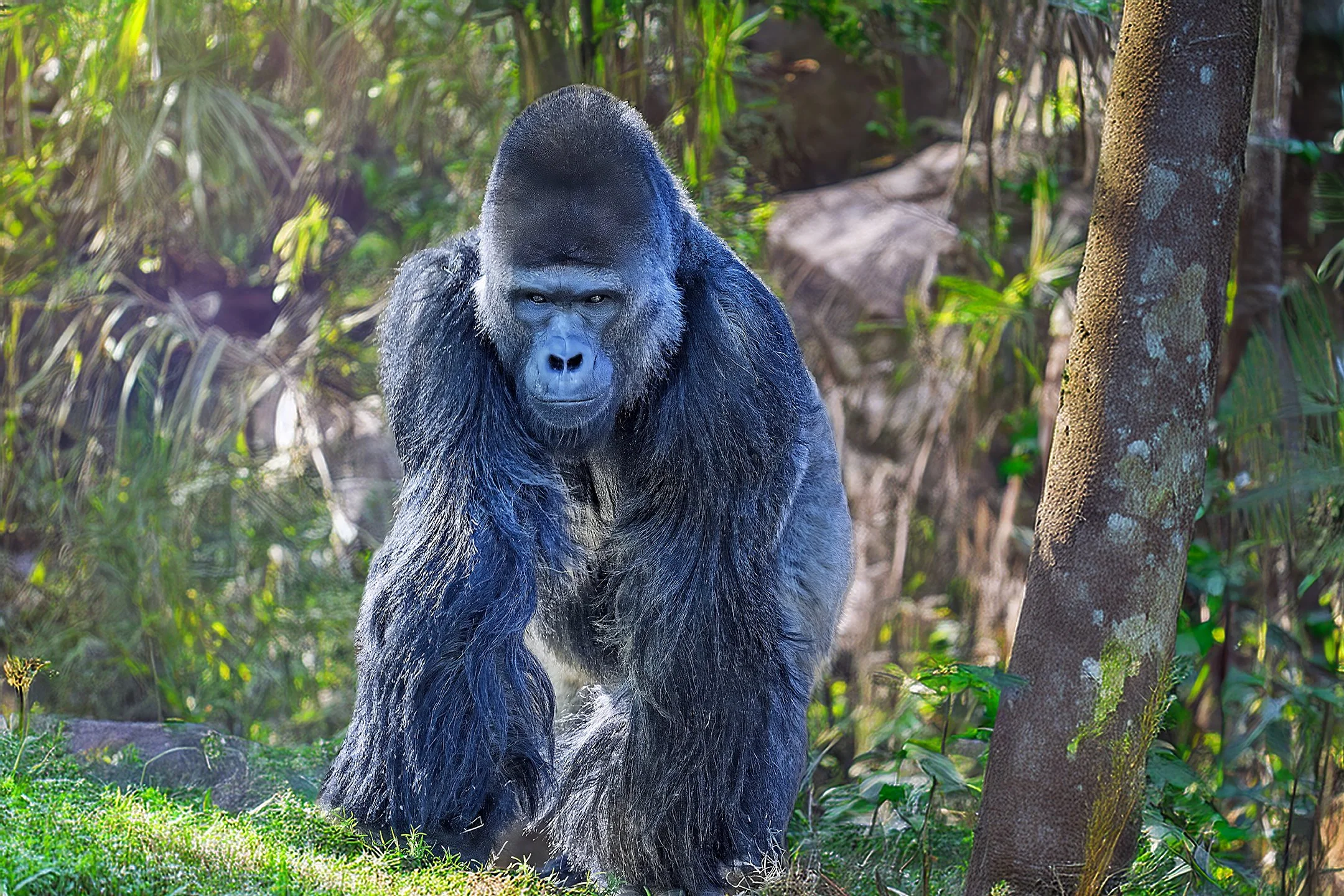 _DSC0536 (2) 300 30x20.jpg