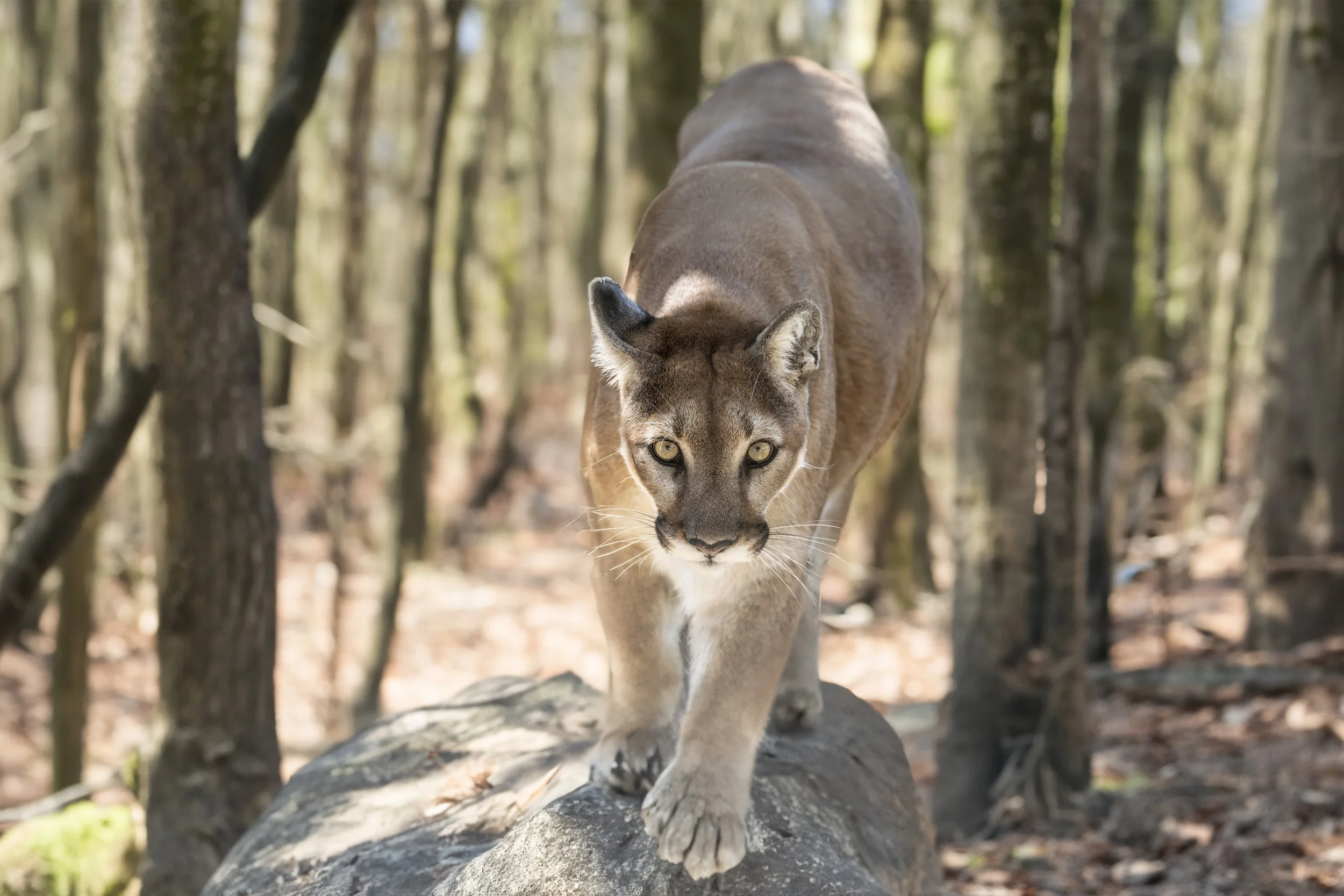 _DSC0766-2 001125.jpg