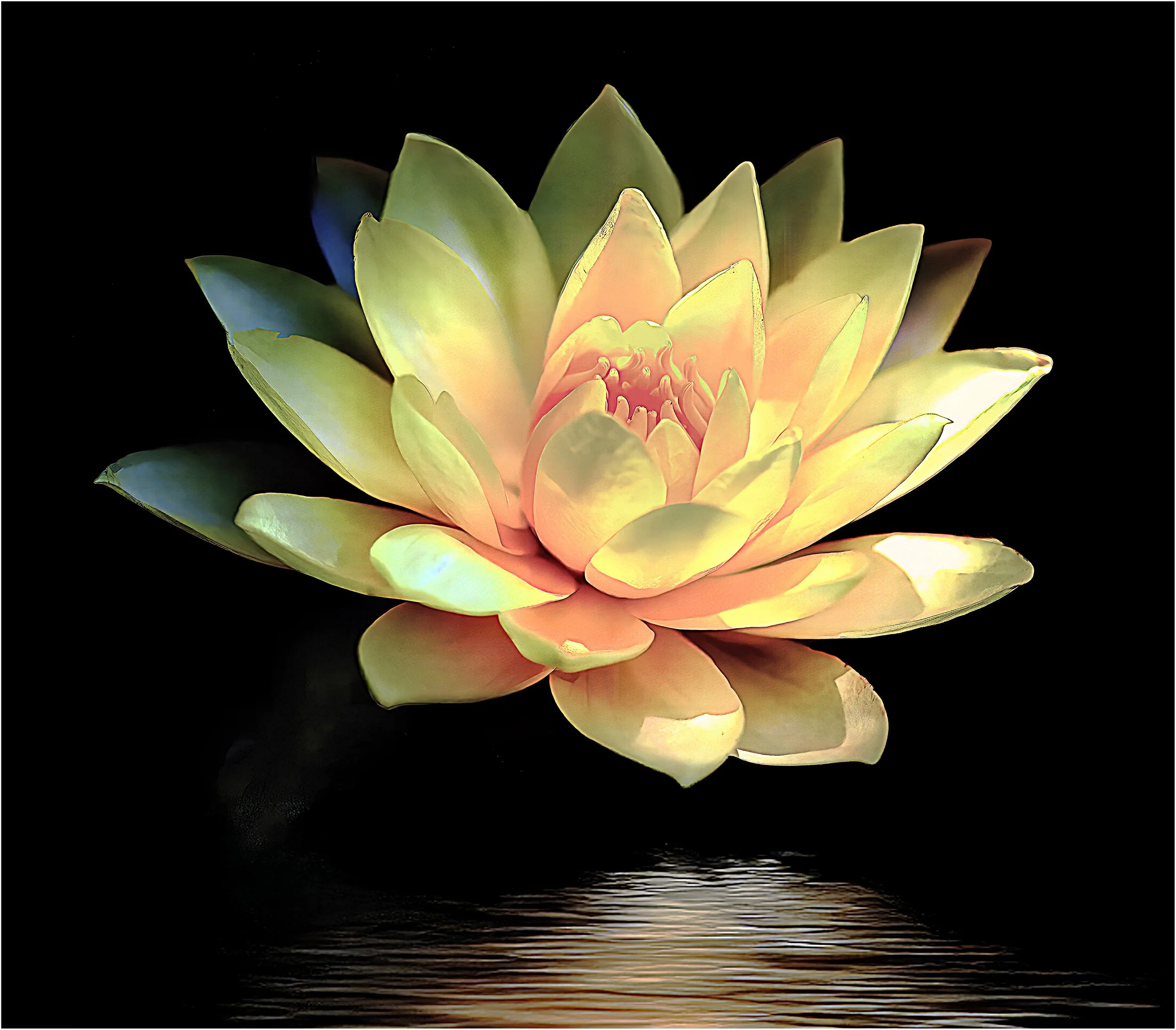 Golden Bloom in the Darkness 300 (3).jpg