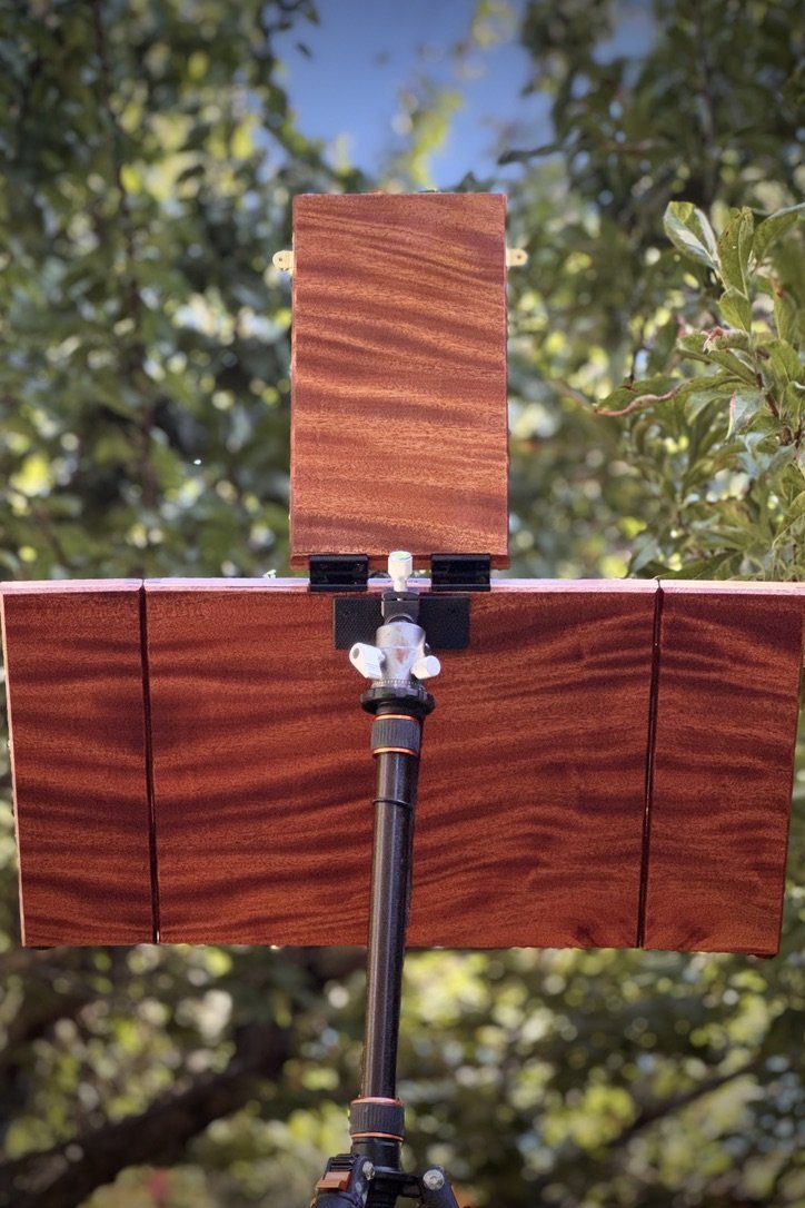 Artisan Mahogany Pochade