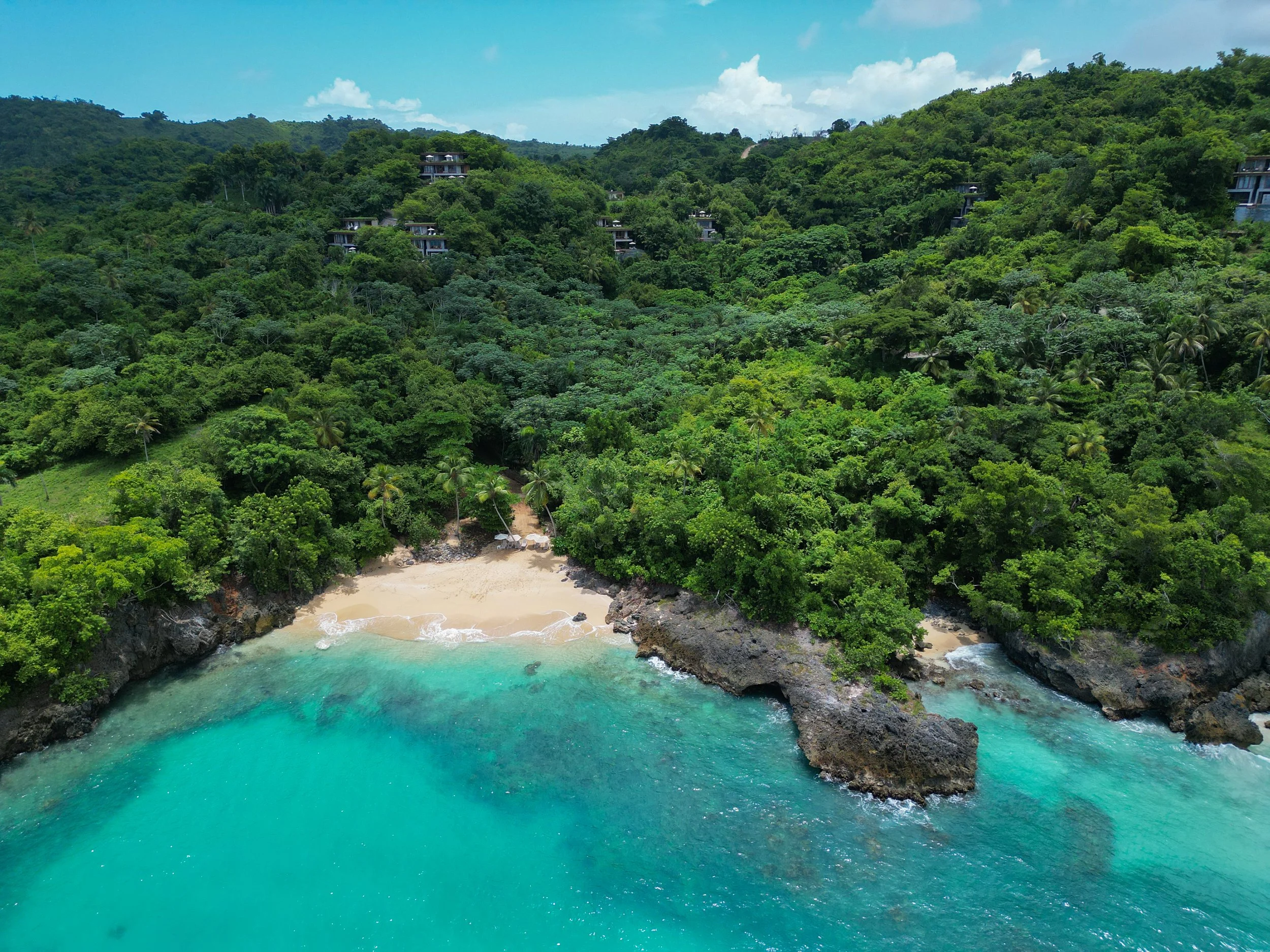 Whale Season in the Caribbean + Mexico