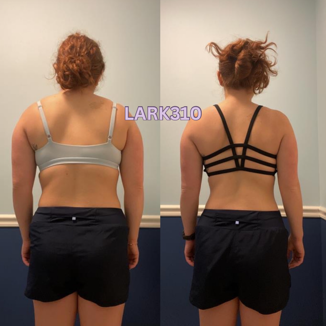 Transformation lark310 format - 3.PNG