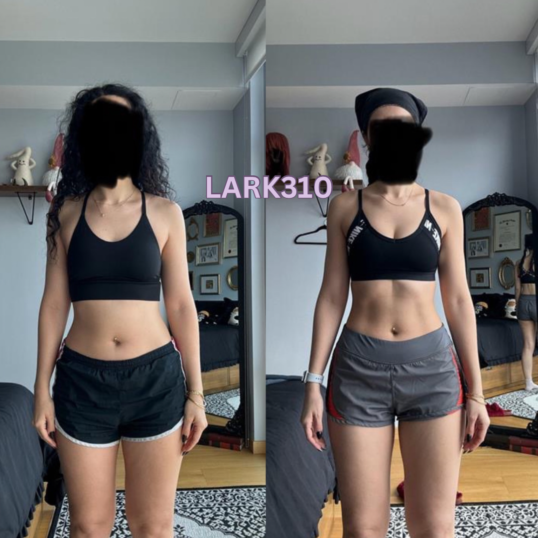 Transformation lark310 format - 1.PNG