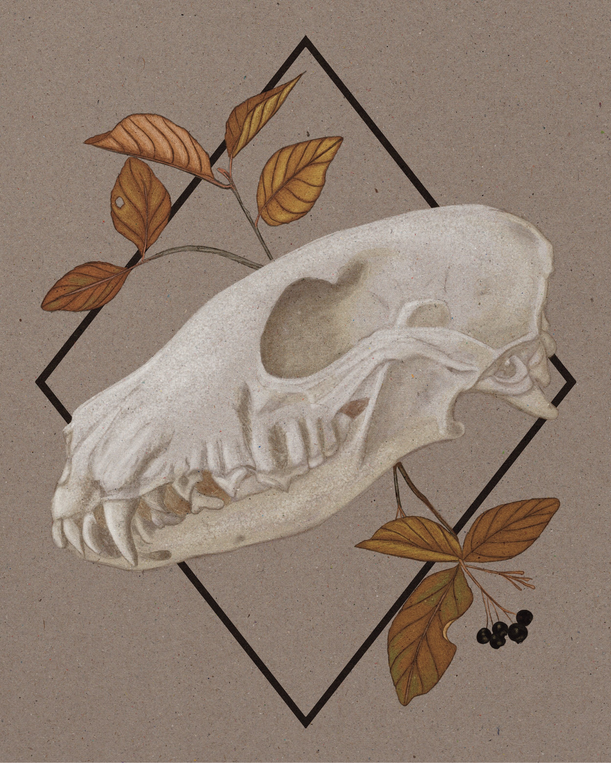 Untitled_Artwork.jpg
