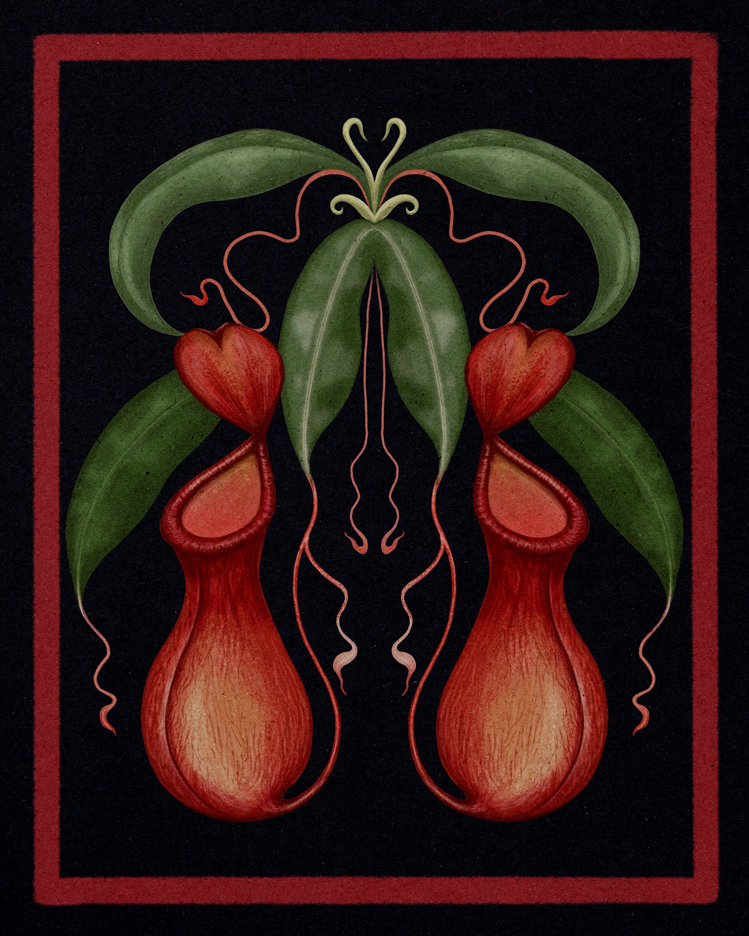 Pitcher_Plant_Dark_8x10.jpg