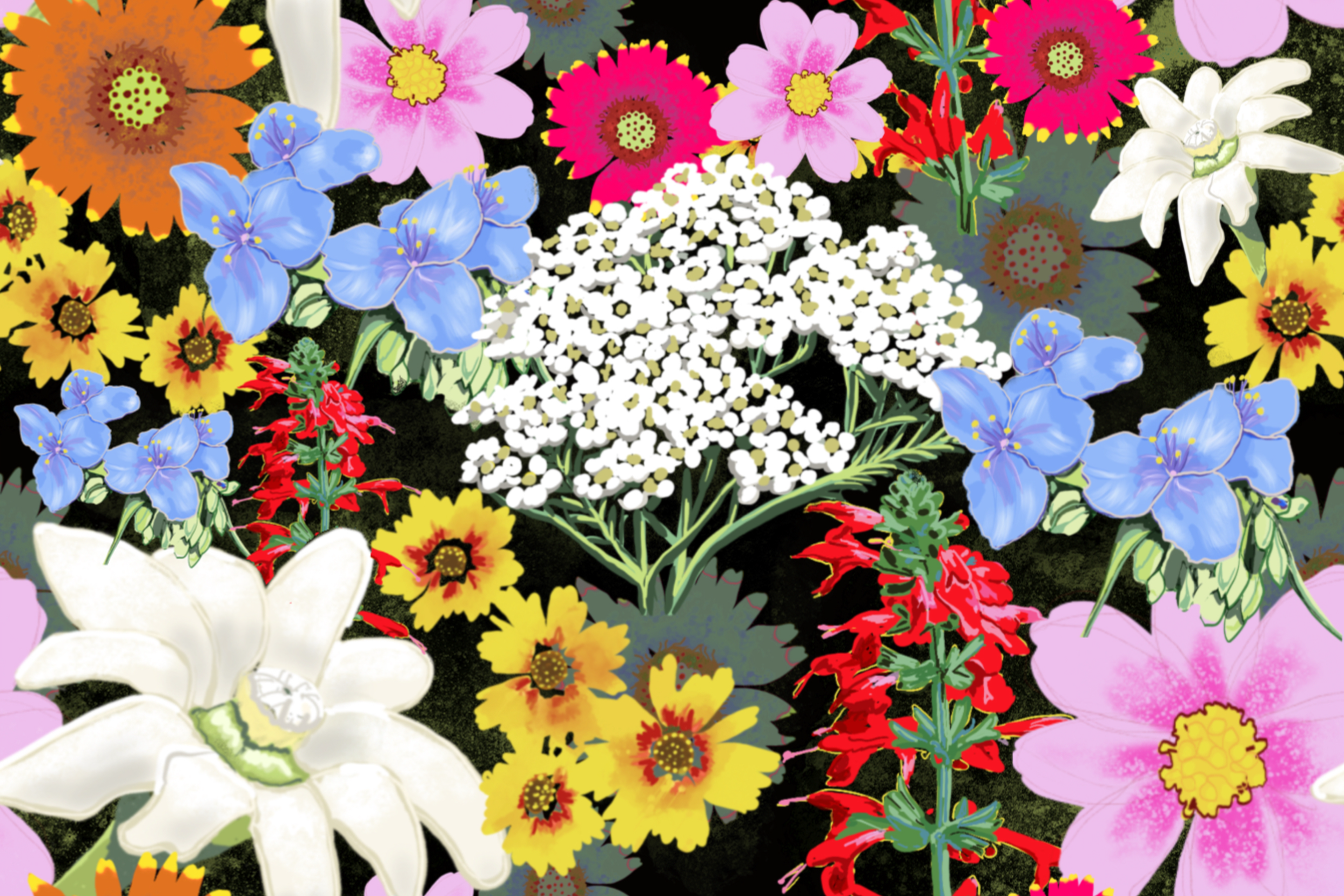 Colorful collection of various flowers including white lilies, yellow daisies, pink cosmos, red salvia, blue delphiniums, white yarrow, and others set against a dark background.