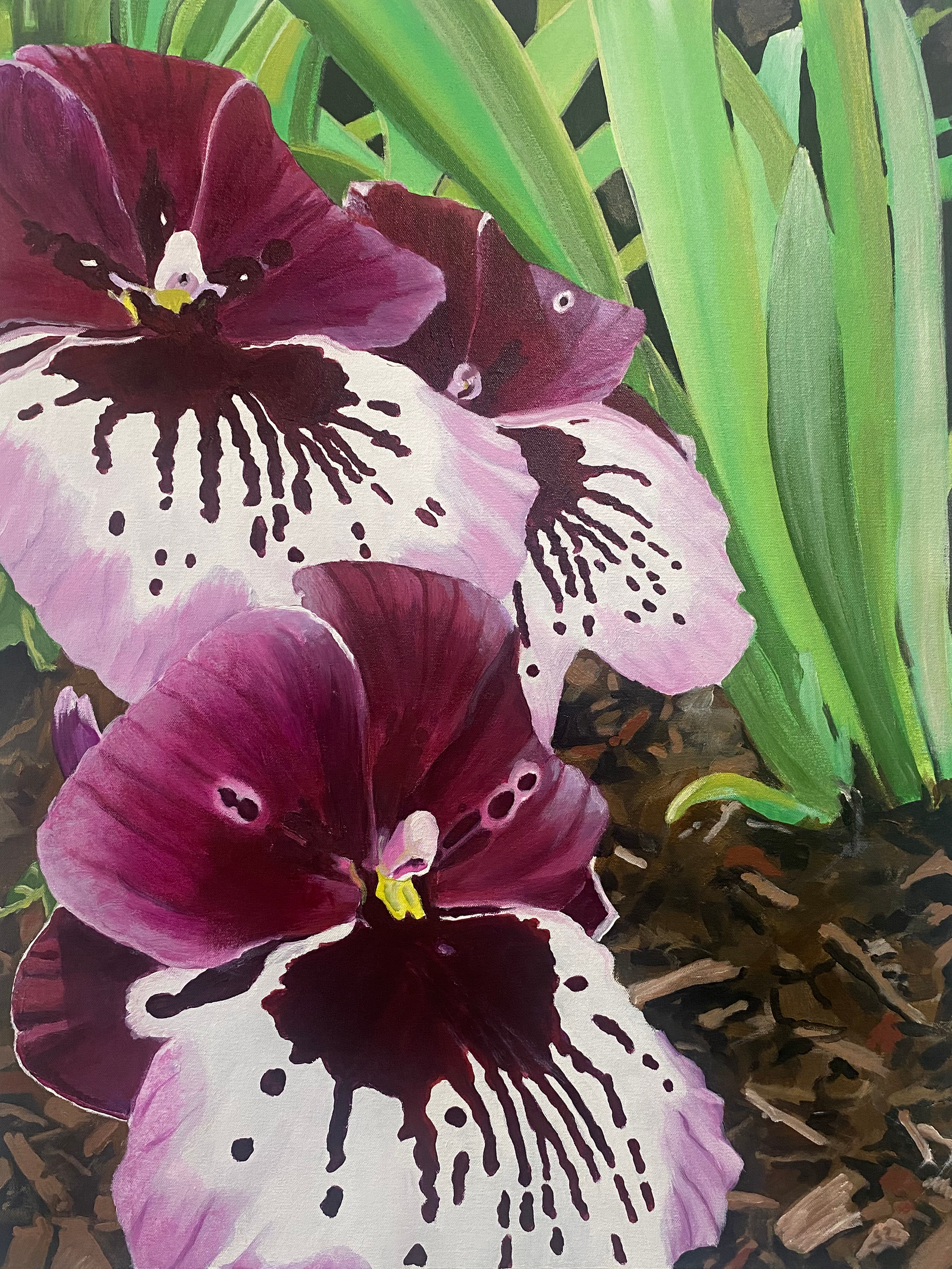 purple orchids4print.png