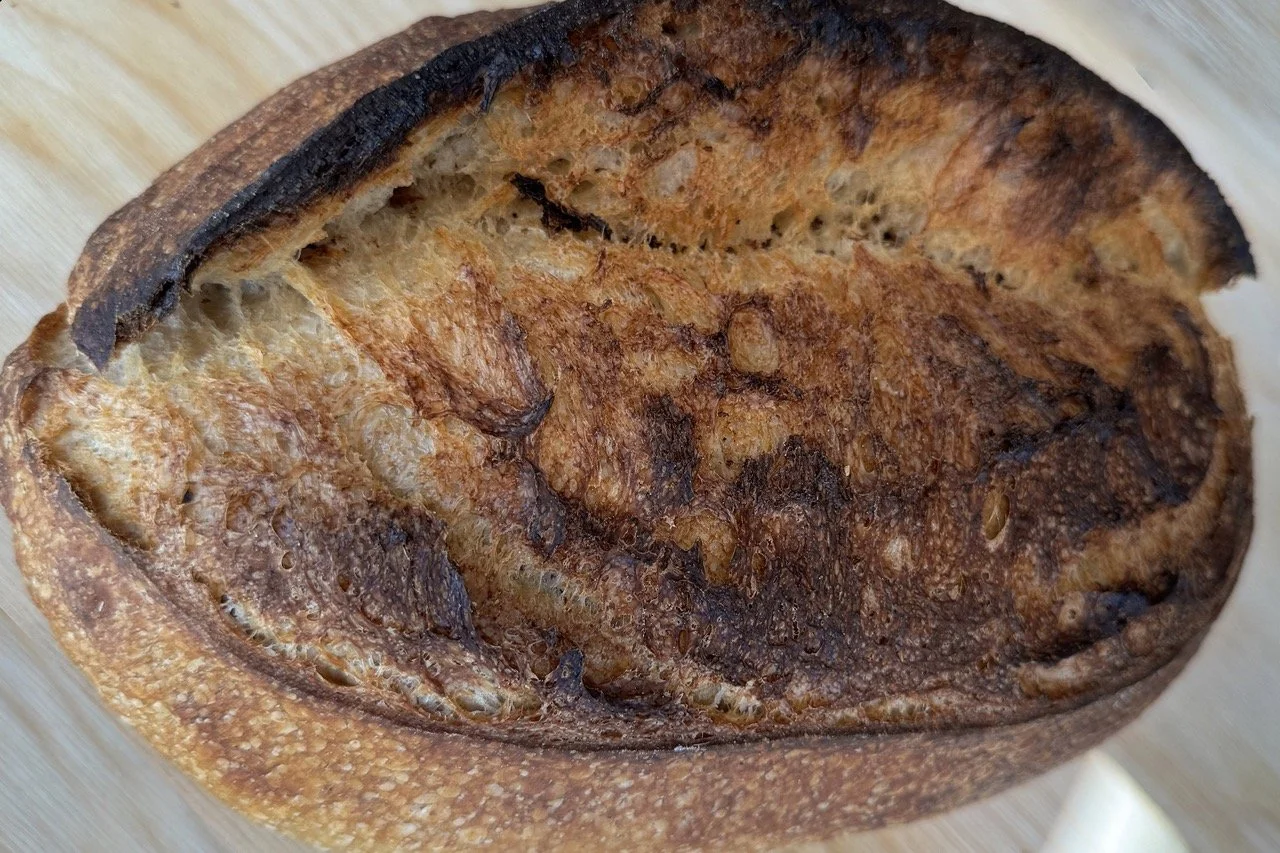 sonoran sour dough.jpeg