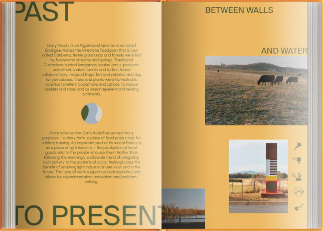 Book spread with text about Ngunnawal land history, images of grazing cows, and abstract artwork.